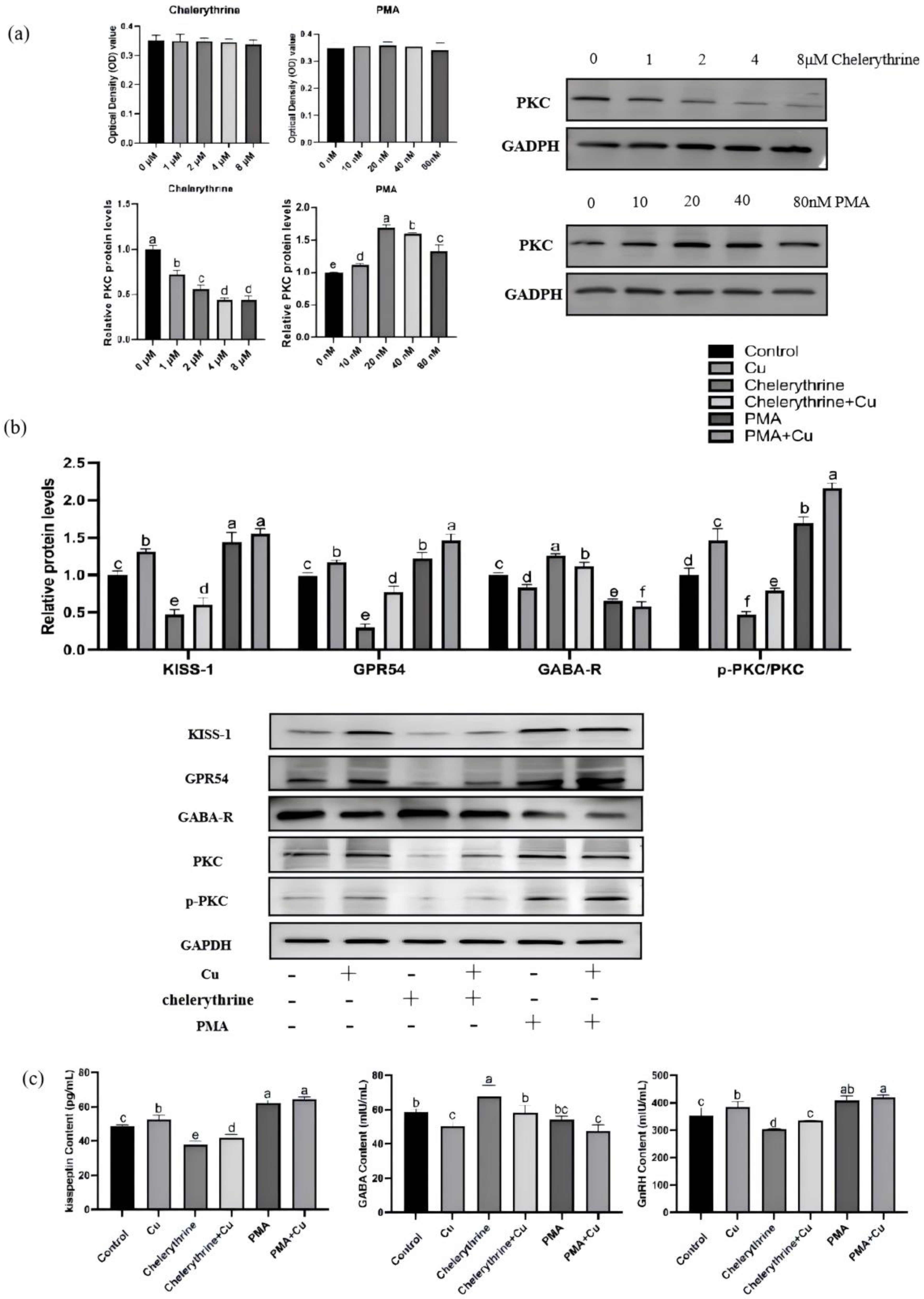 Nutrients 17 03534 g008
