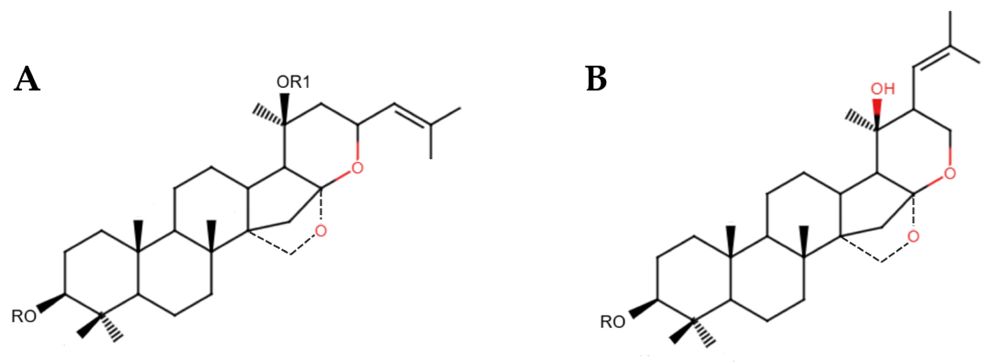 Nutrients 17 03538 g002