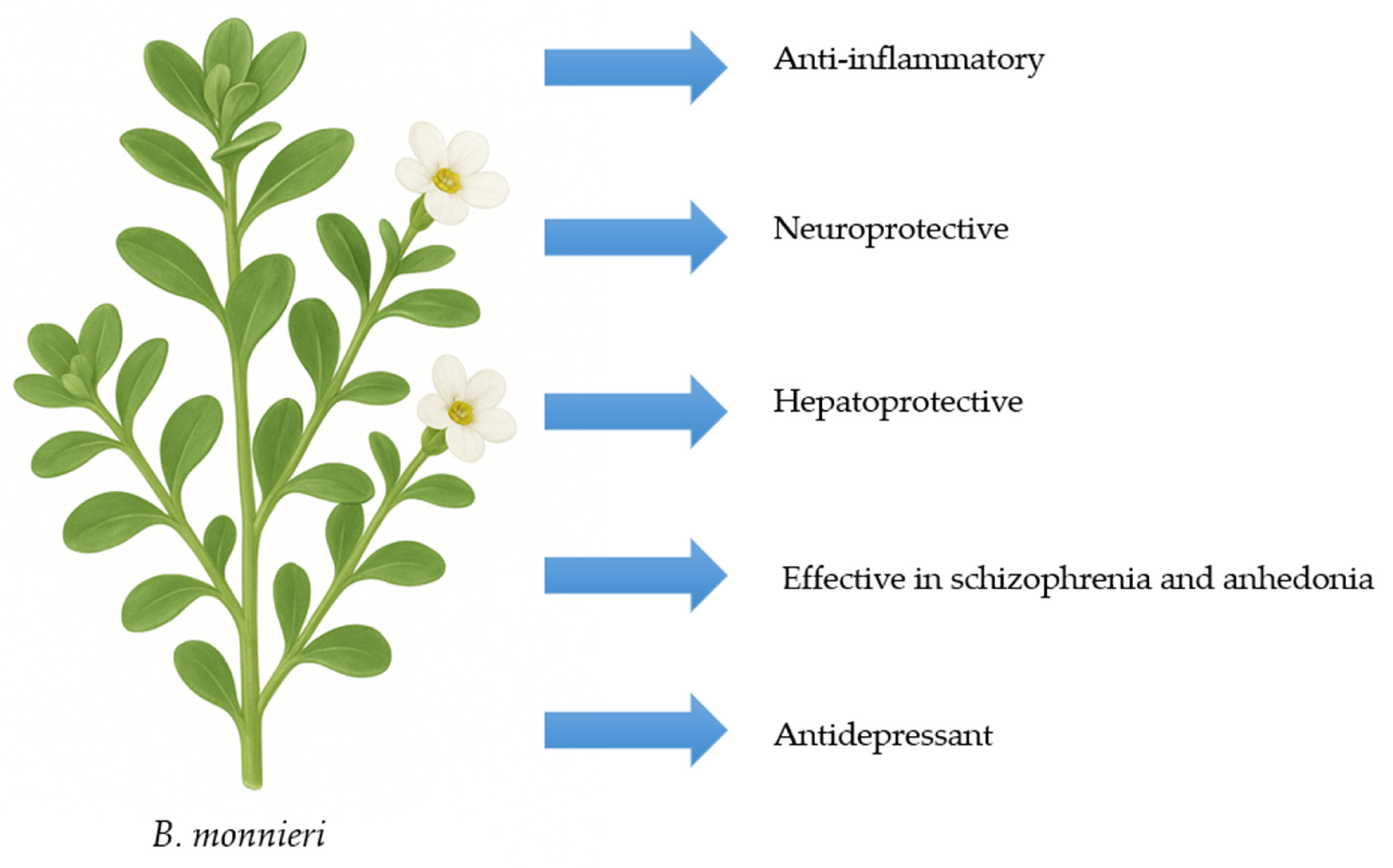 Nutrients 17 03538 g004