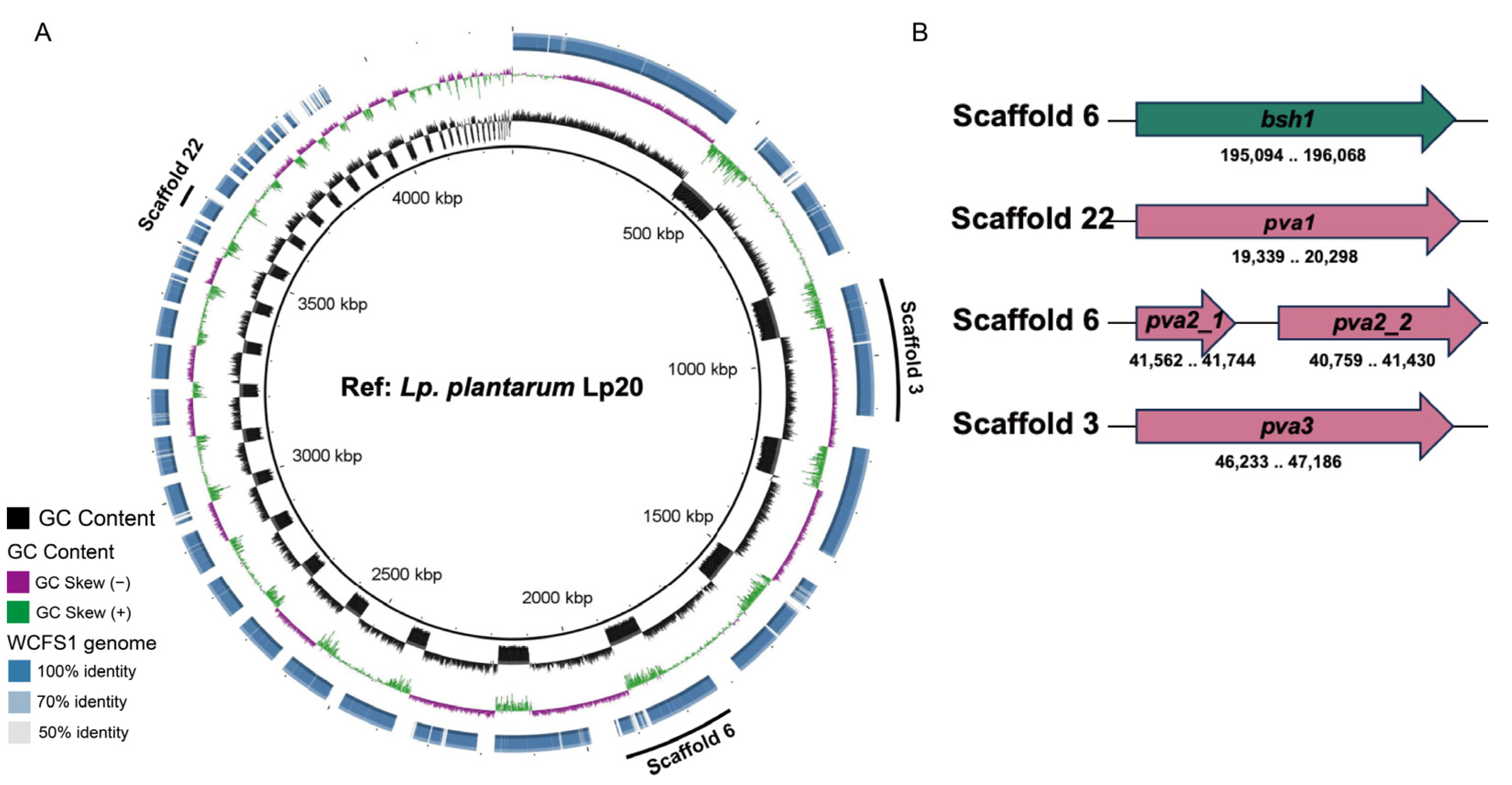 Nutrients 17 03555 g002 Nutrients 17 03555 g002