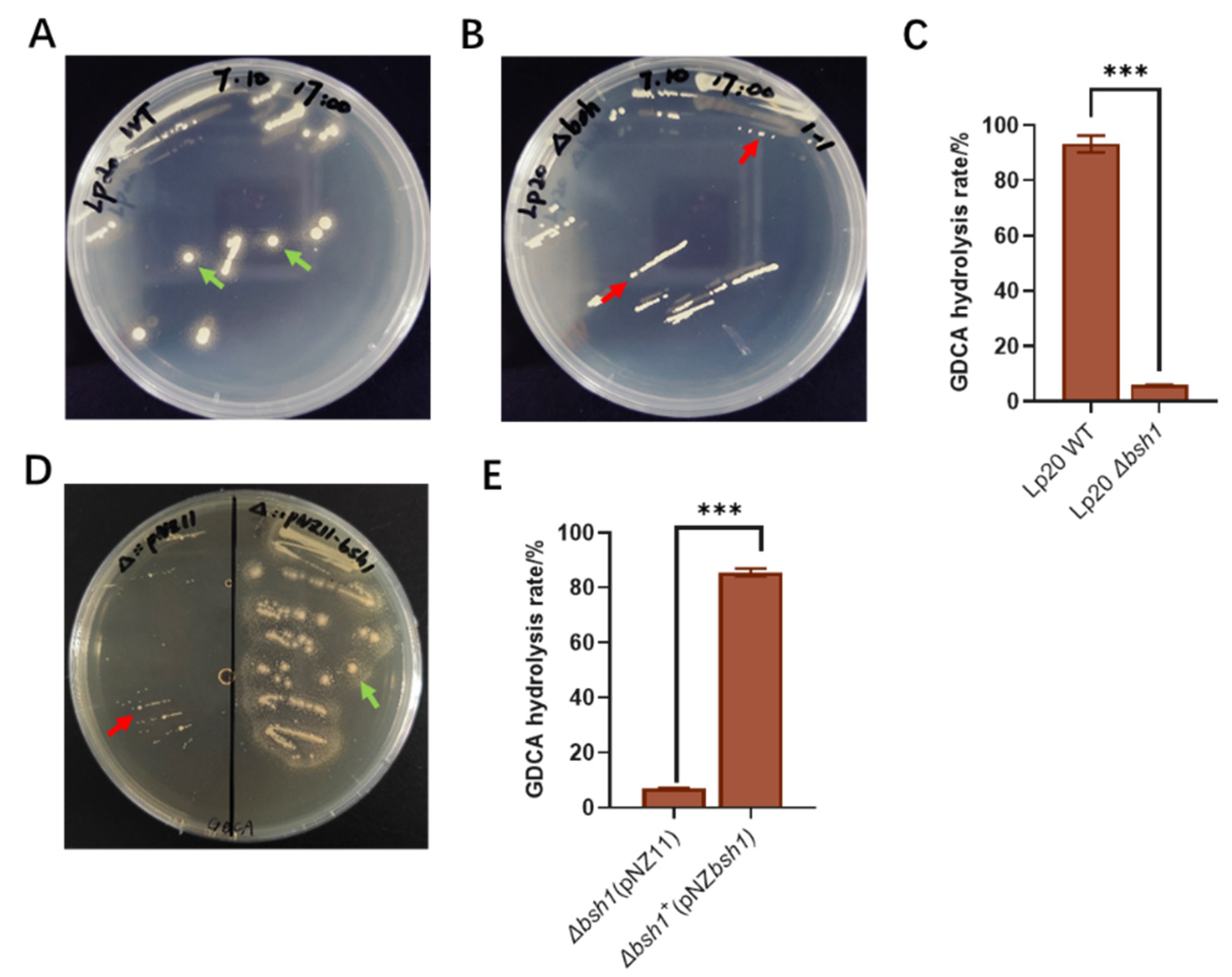 Nutrients 17 03555 g003 Nutrients 17 03555 g003