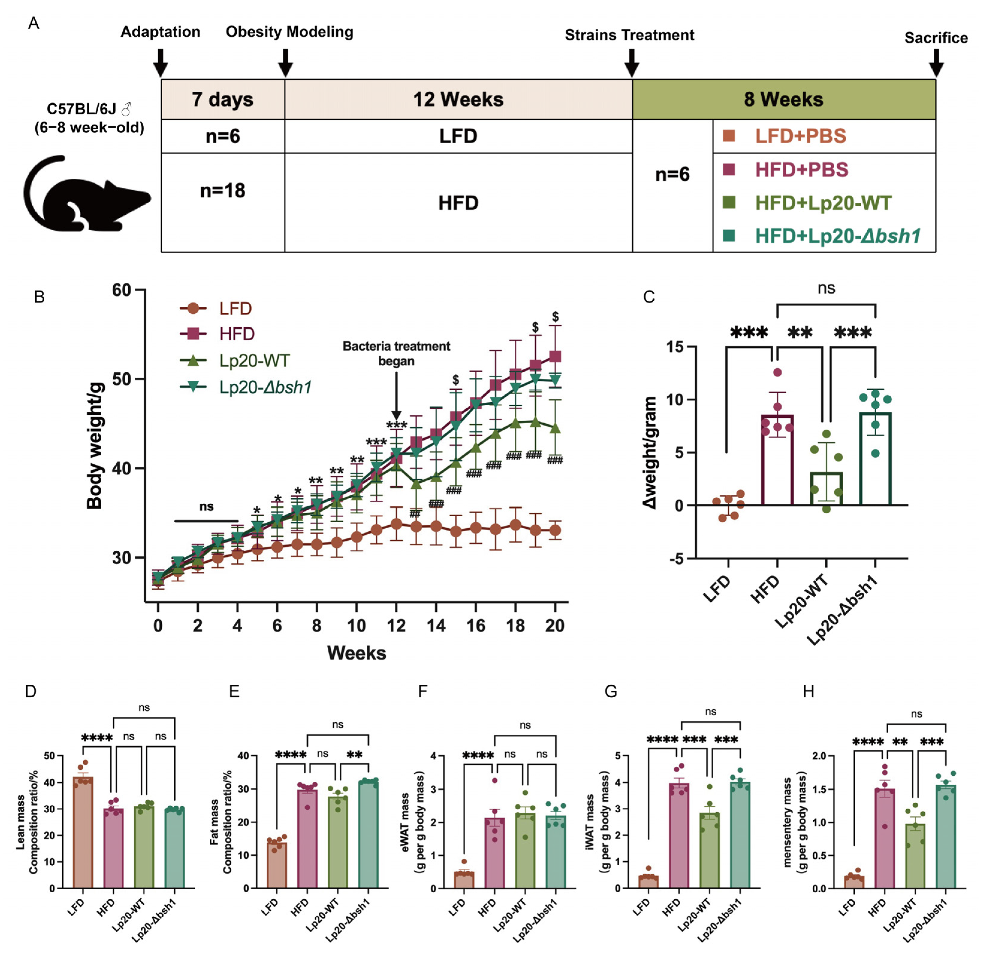 Nutrients 17 03555 g004 Nutrients 17 03555 g004