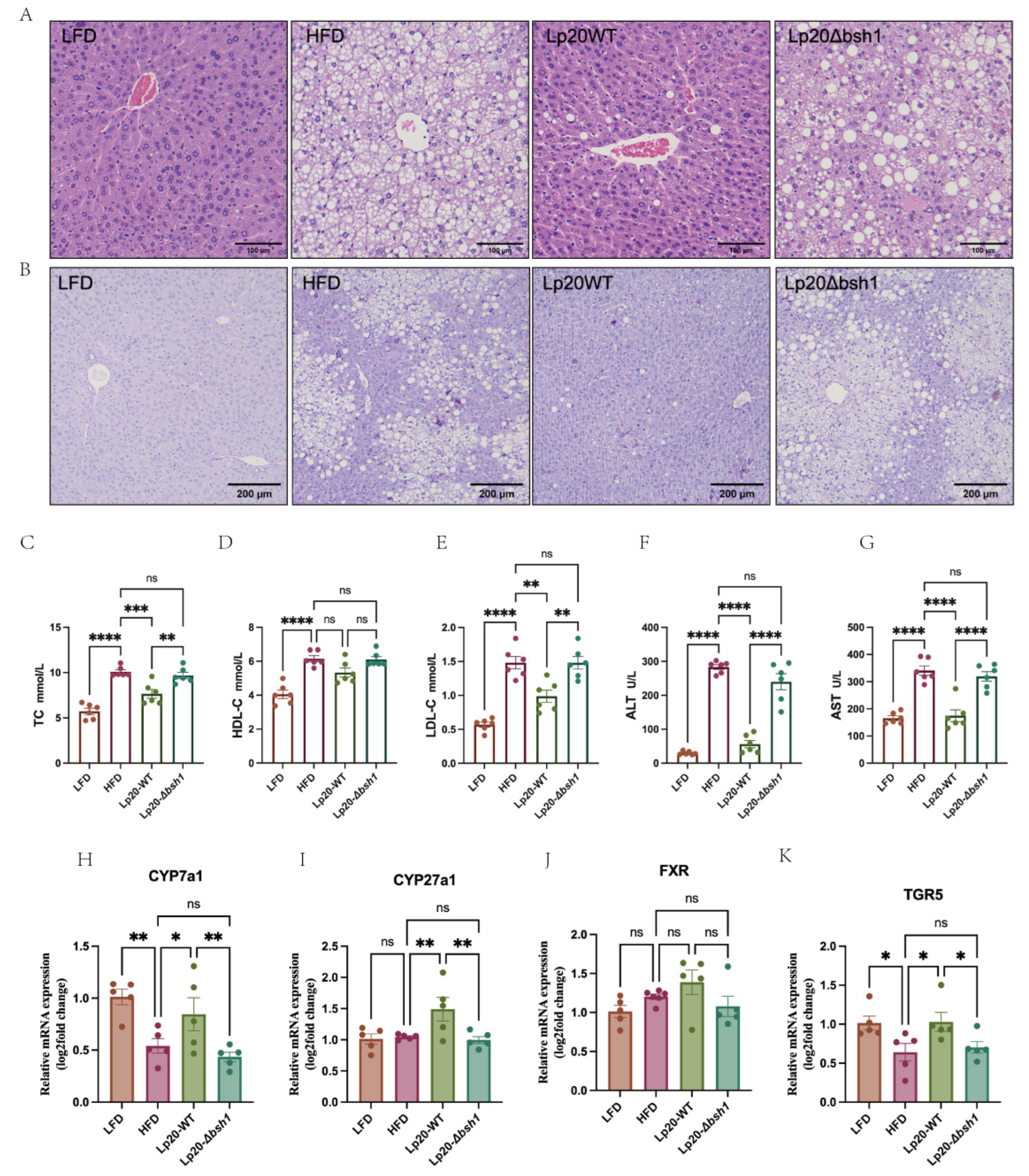 Nutrients 17 03555 g005 Nutrients 17 03555 g005