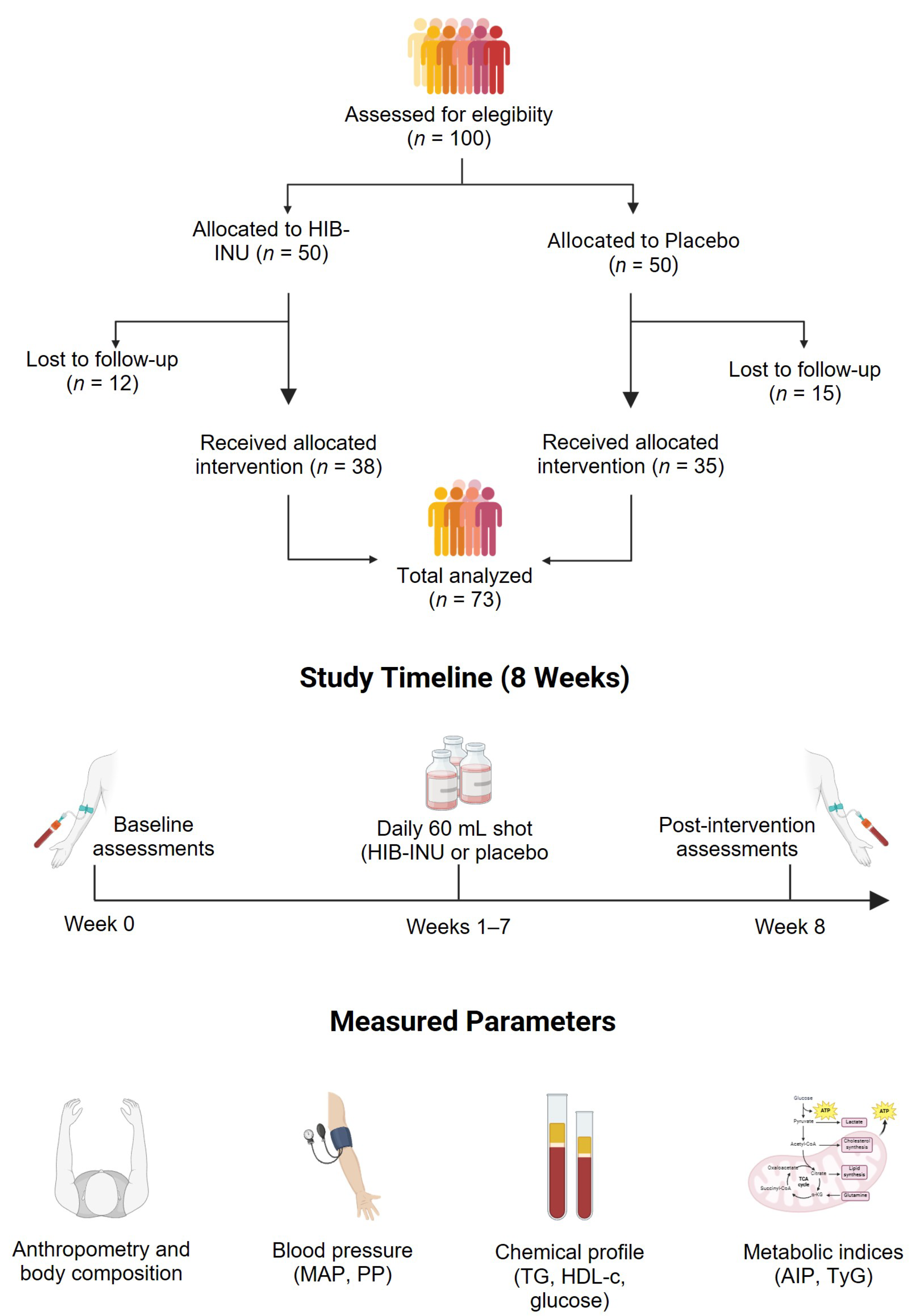 Nutrients 17 03556 g001 Nutrients 17 03556 g001