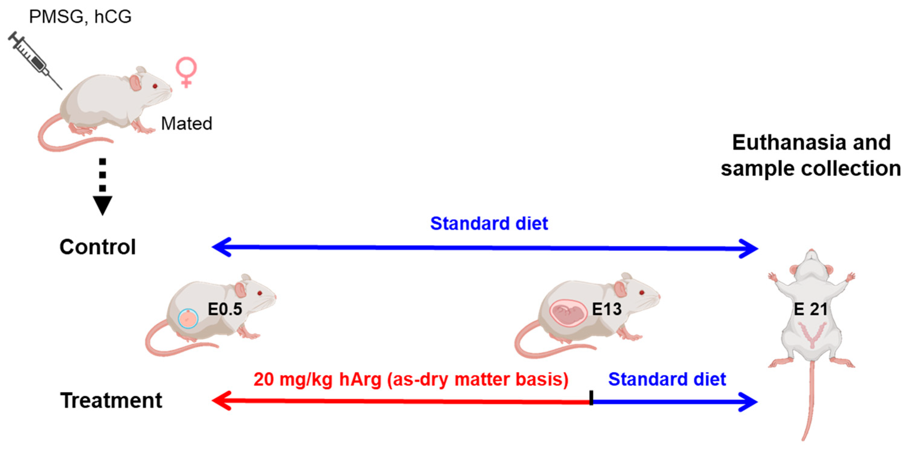 Nutrients 17 03563 g001 Nutrients 17 03563 g001