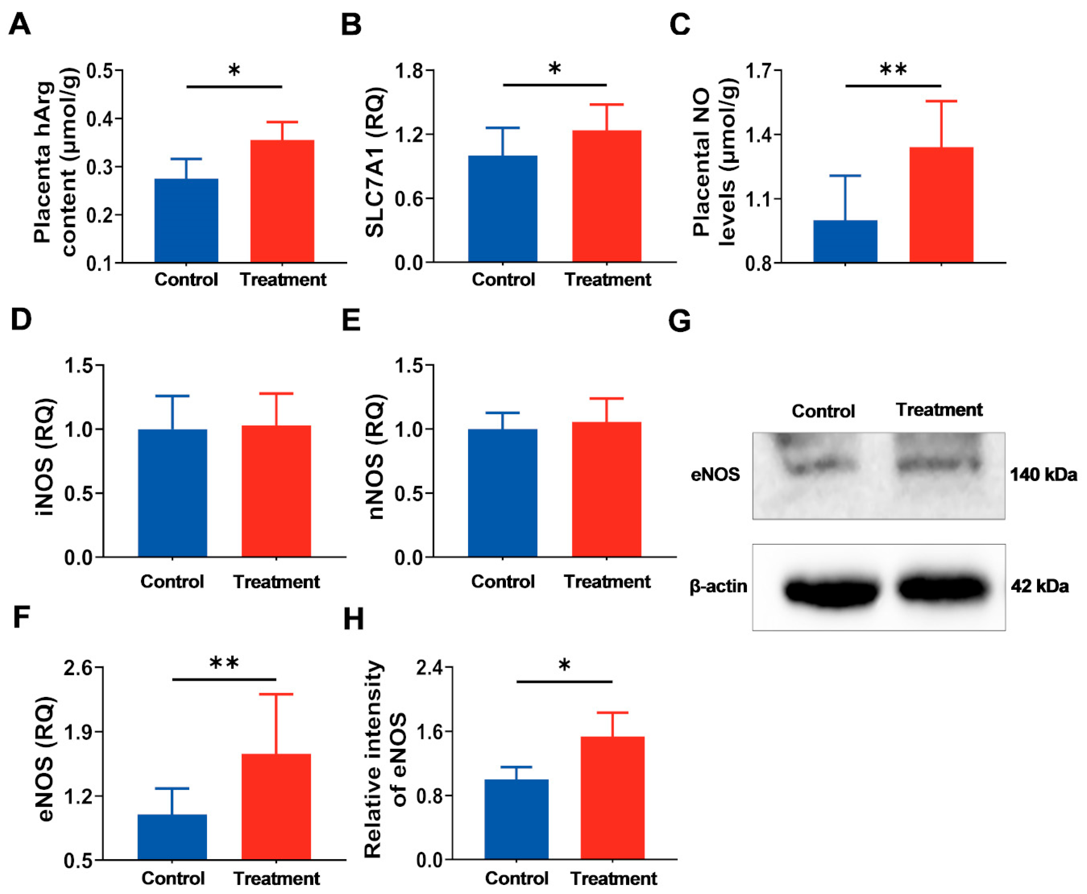Nutrients 17 03563 g004 Nutrients 17 03563 g004