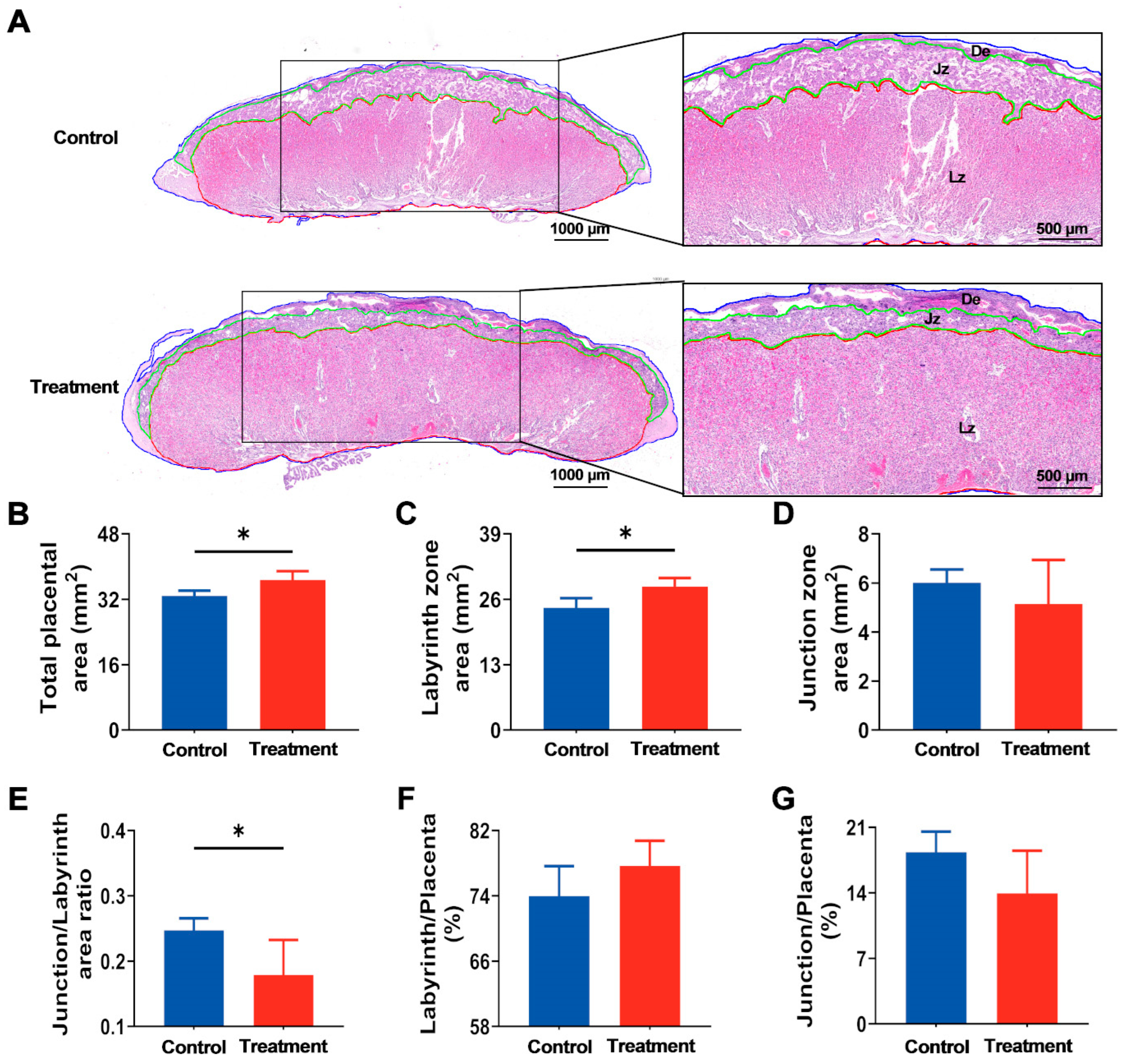 Nutrients 17 03563 g005 Nutrients 17 03563 g005