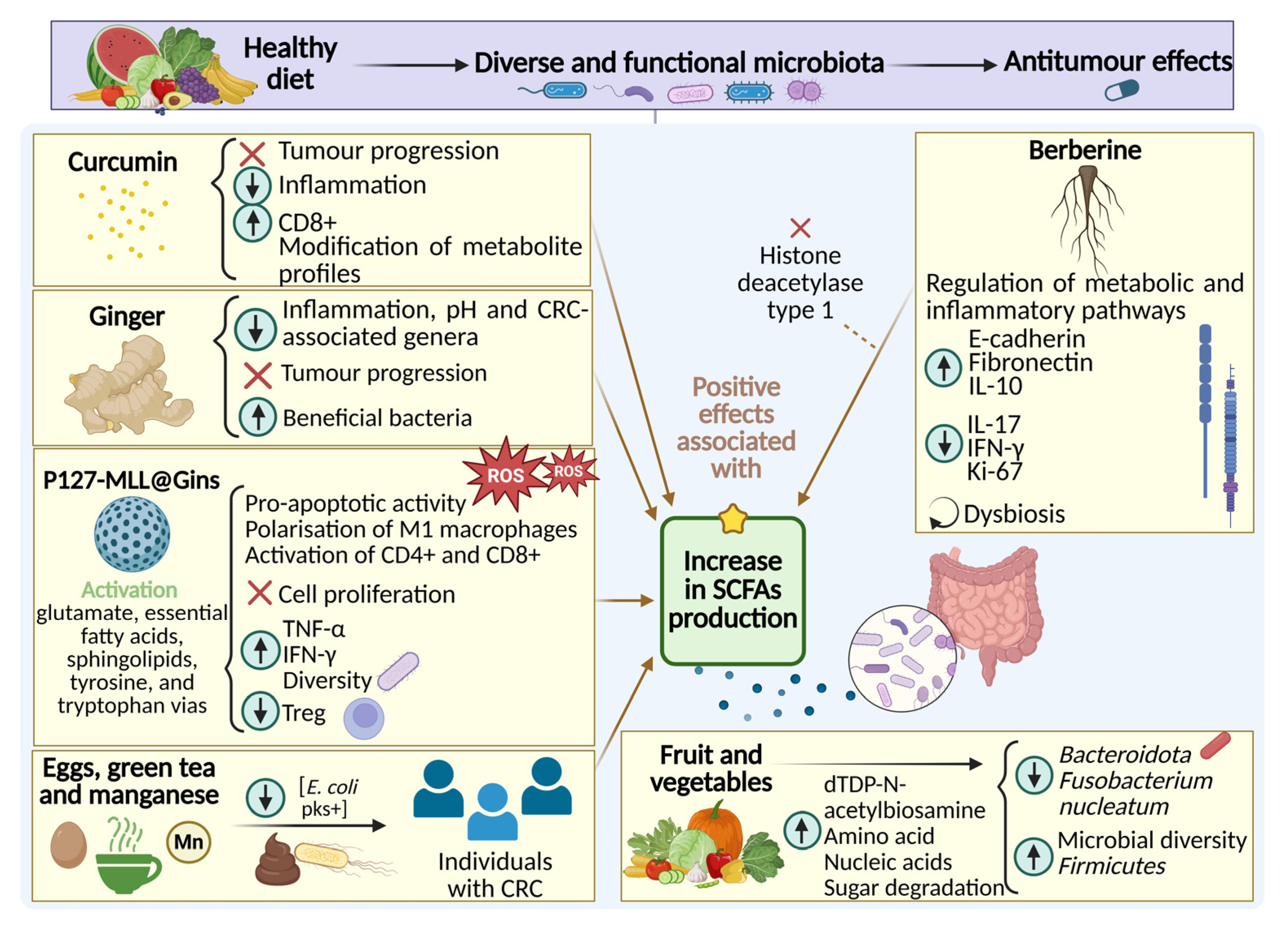 Nutrients 17 03565 g002