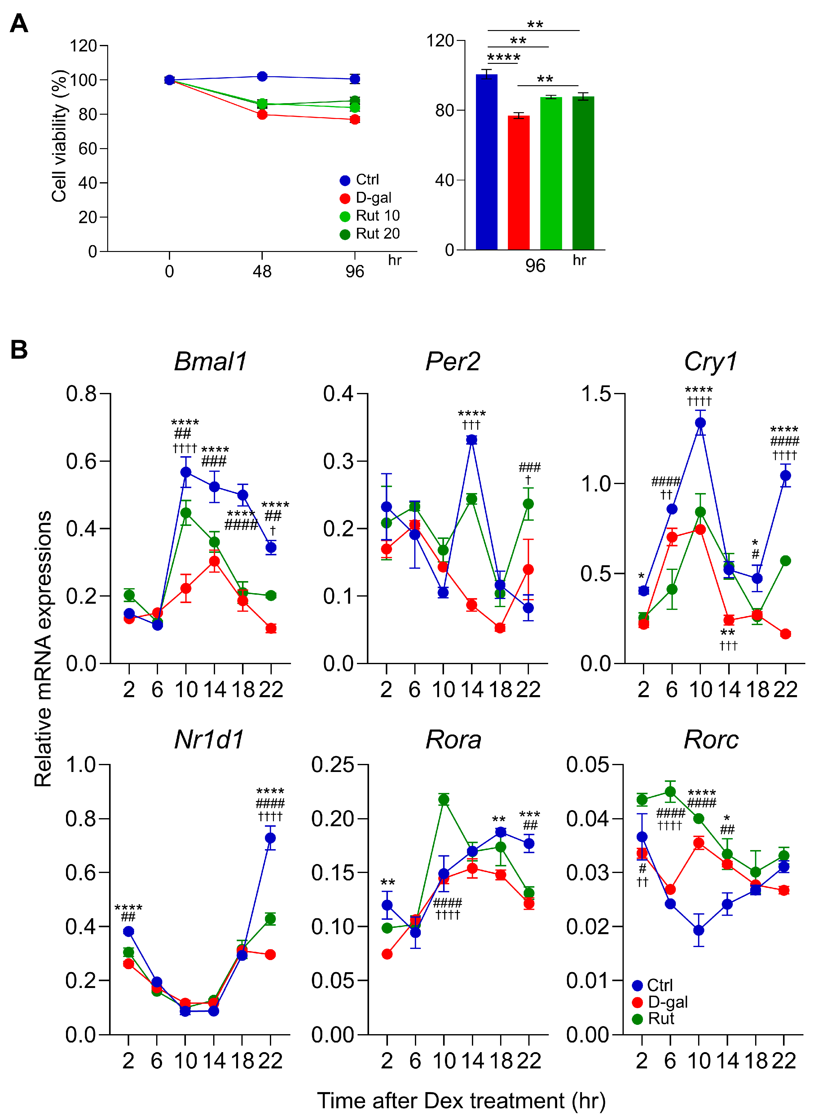 Nutrients 17 03571 g001 Nutrients 17 03571 g001