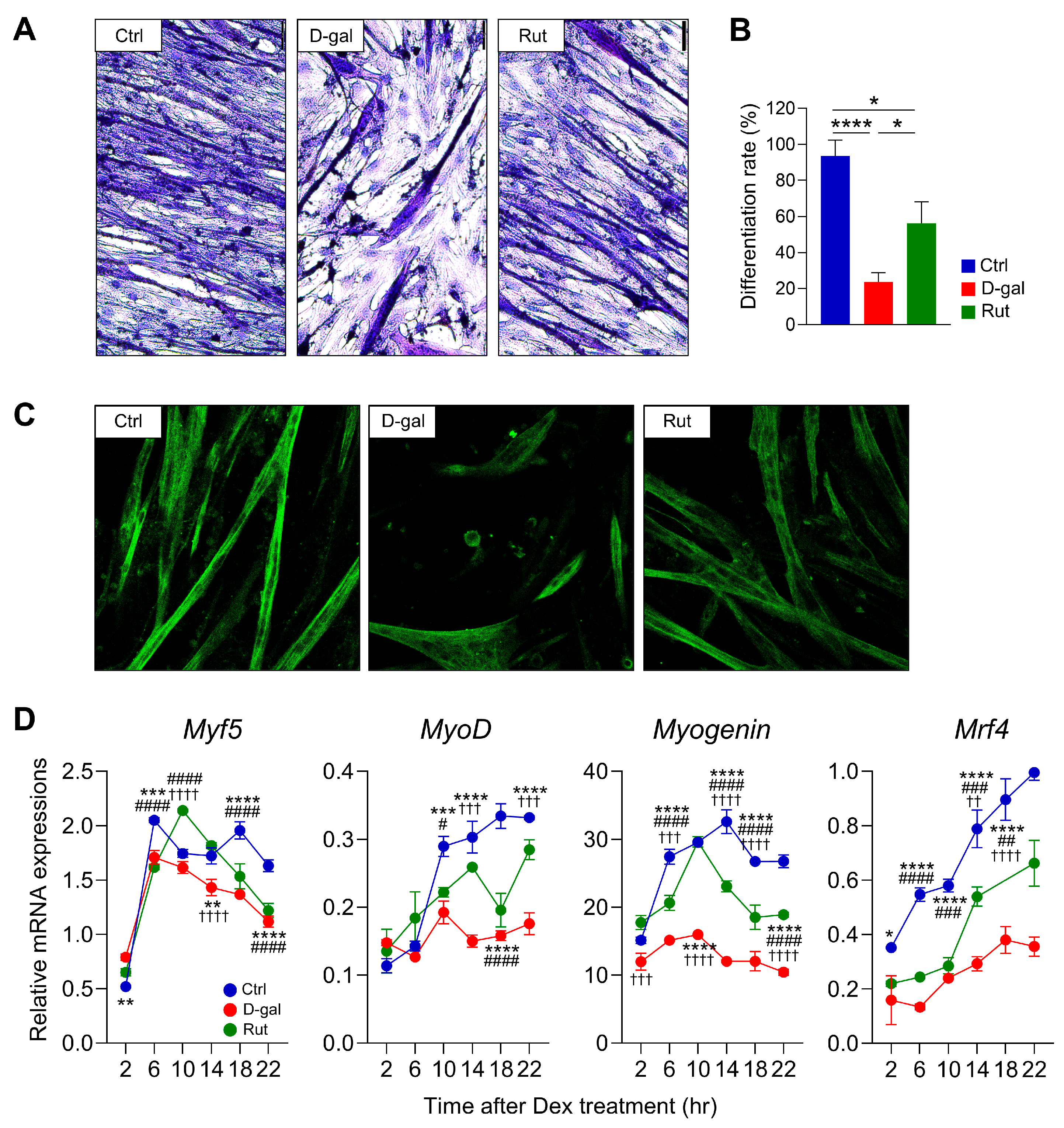 Nutrients 17 03571 g002 Nutrients 17 03571 g002