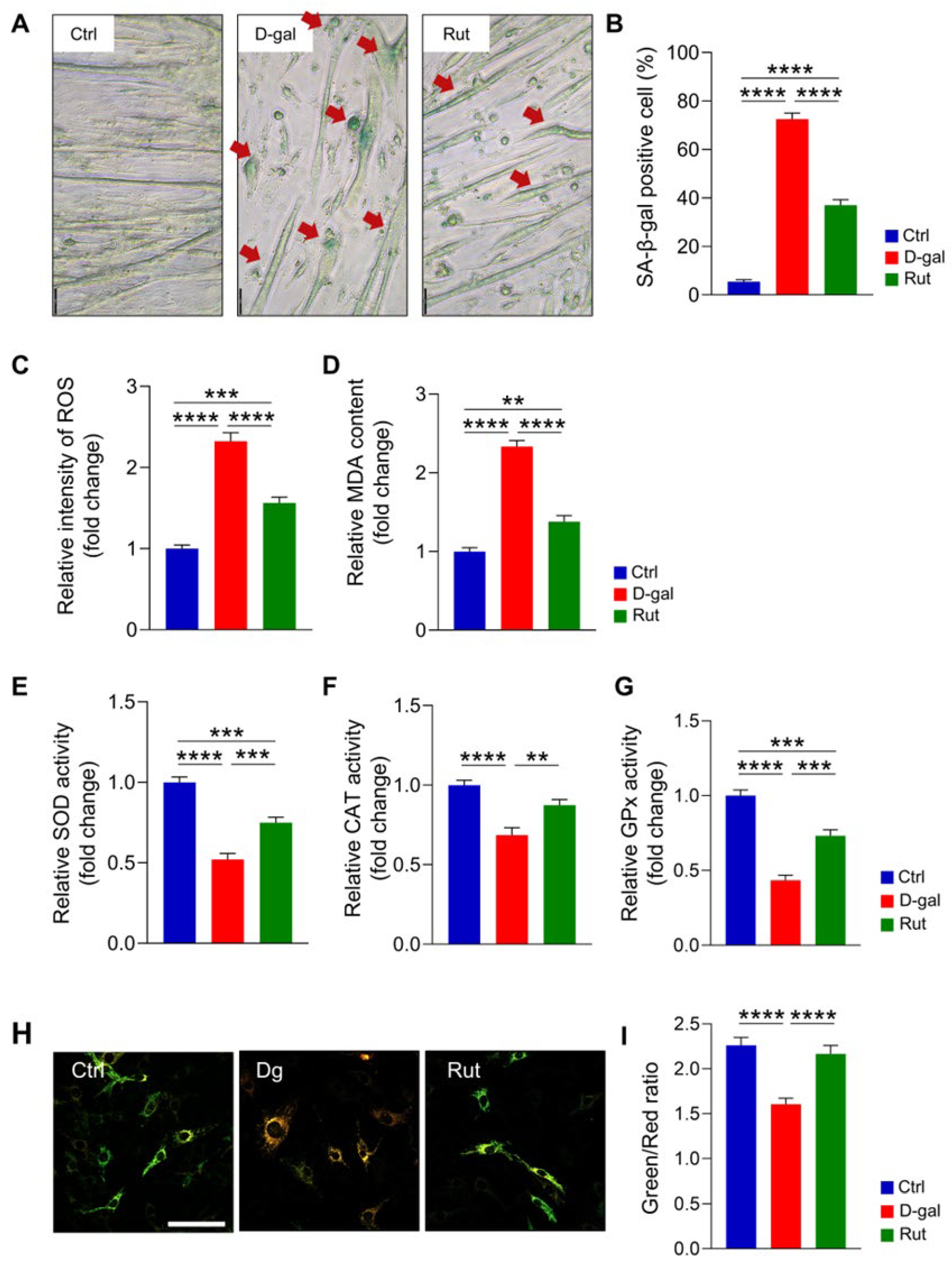 Nutrients 17 03571 g003 Nutrients 17 03571 g003