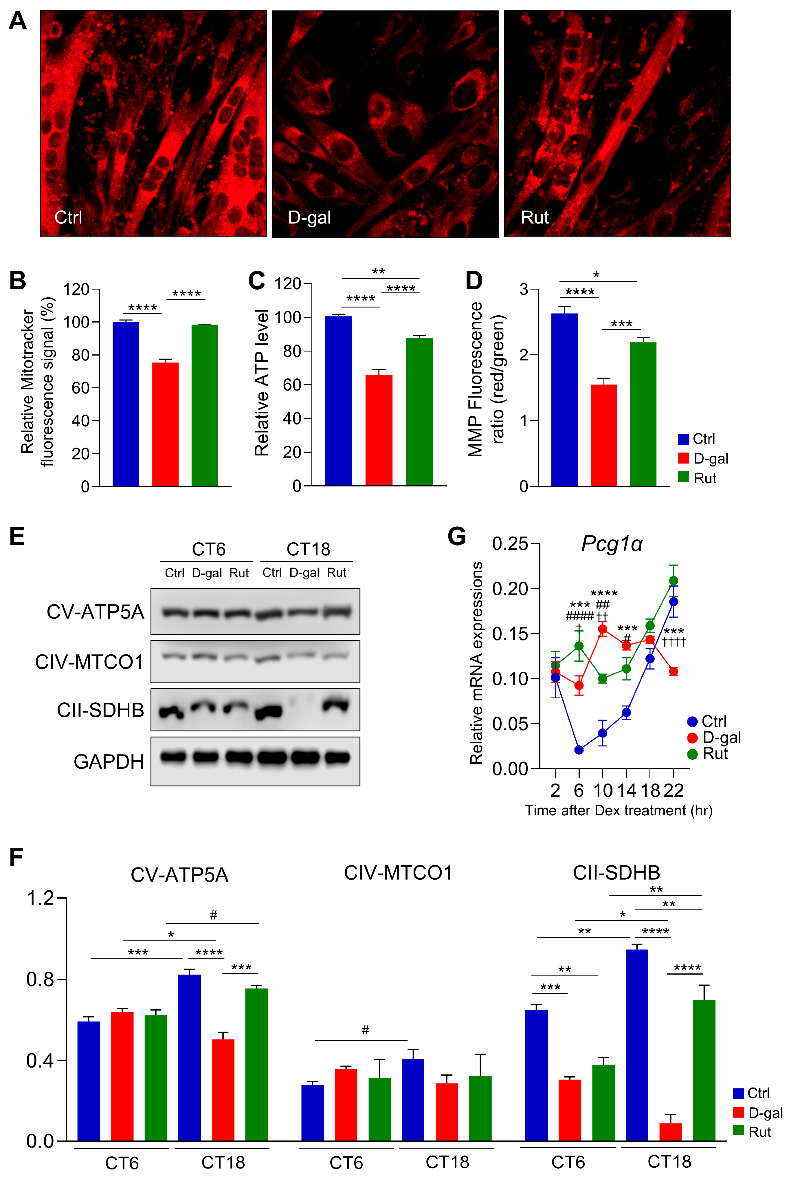 Nutrients 17 03571 g004 Nutrients 17 03571 g004