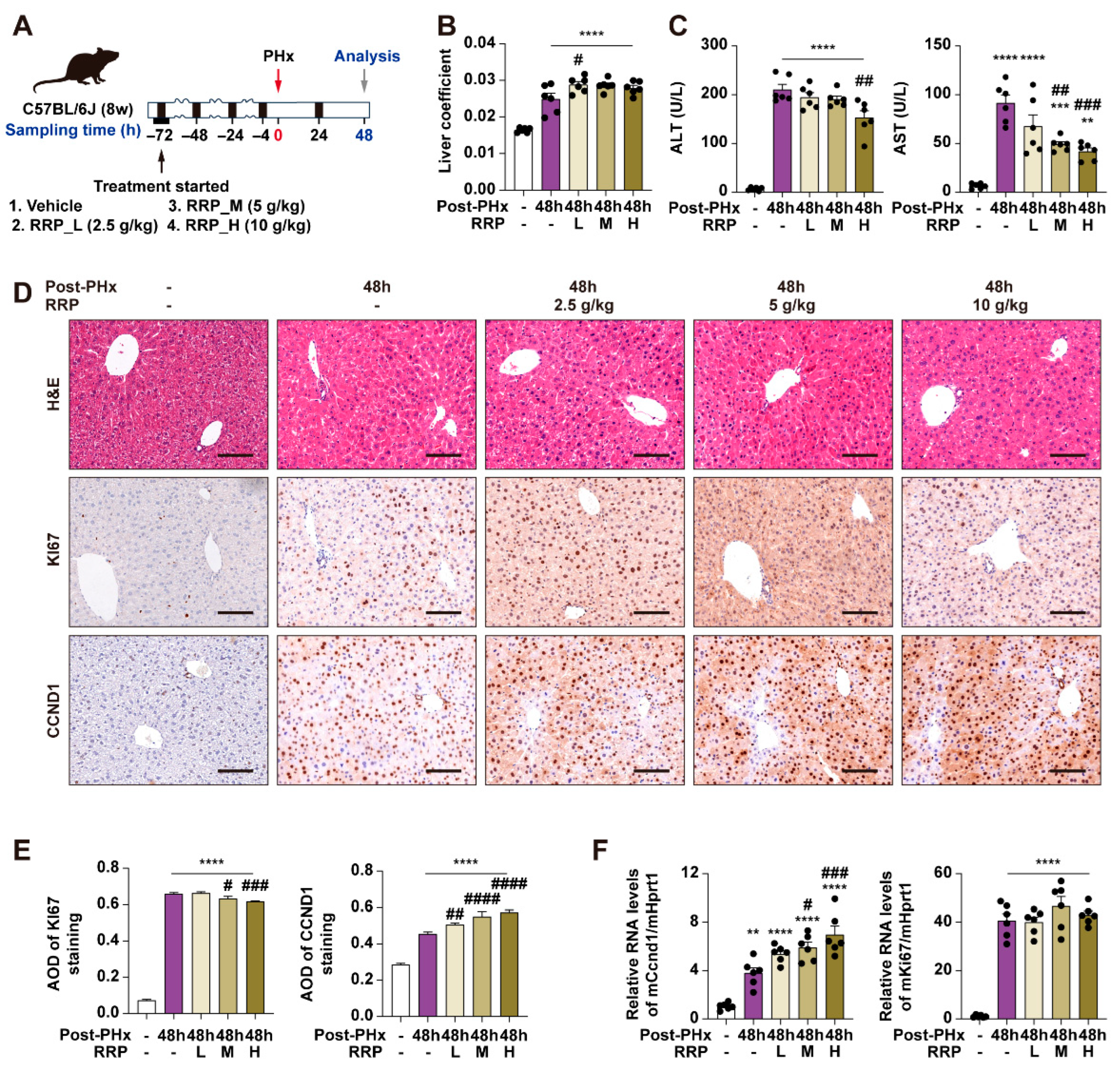 Nutrients 17 03579 g001 Nutrients 17 03579 g001