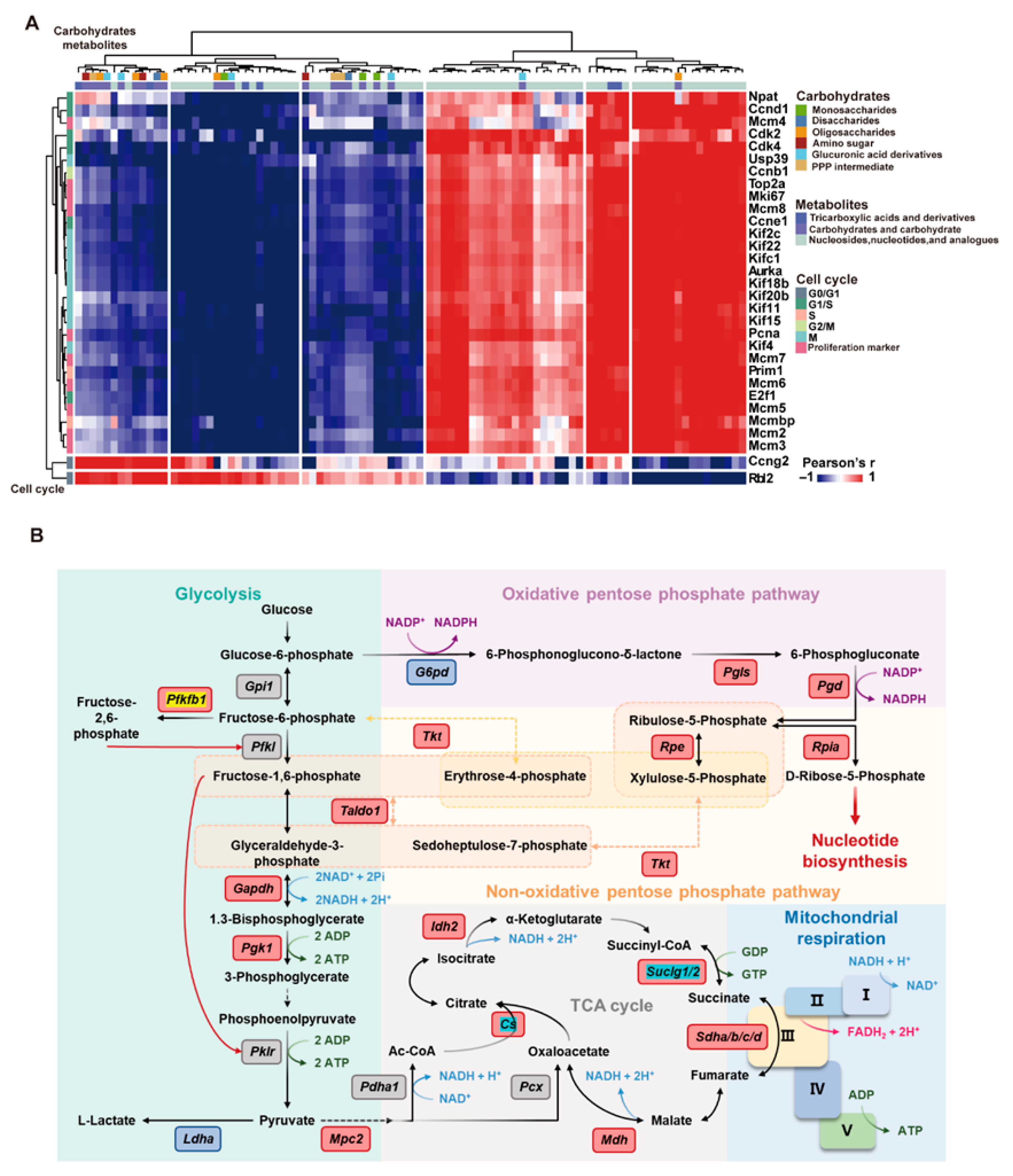 Nutrients 17 03579 g007 Nutrients 17 03579 g007