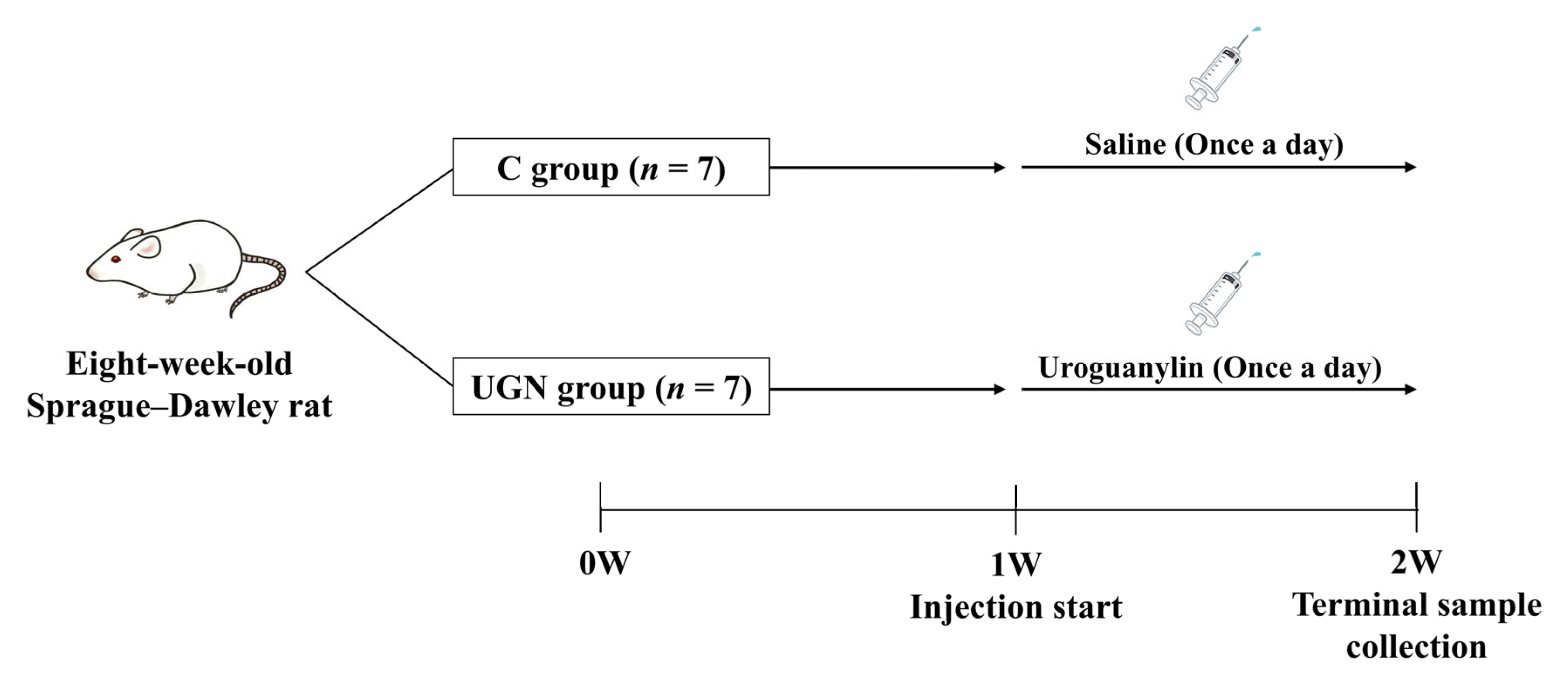 Nutrients 17 03581 g002