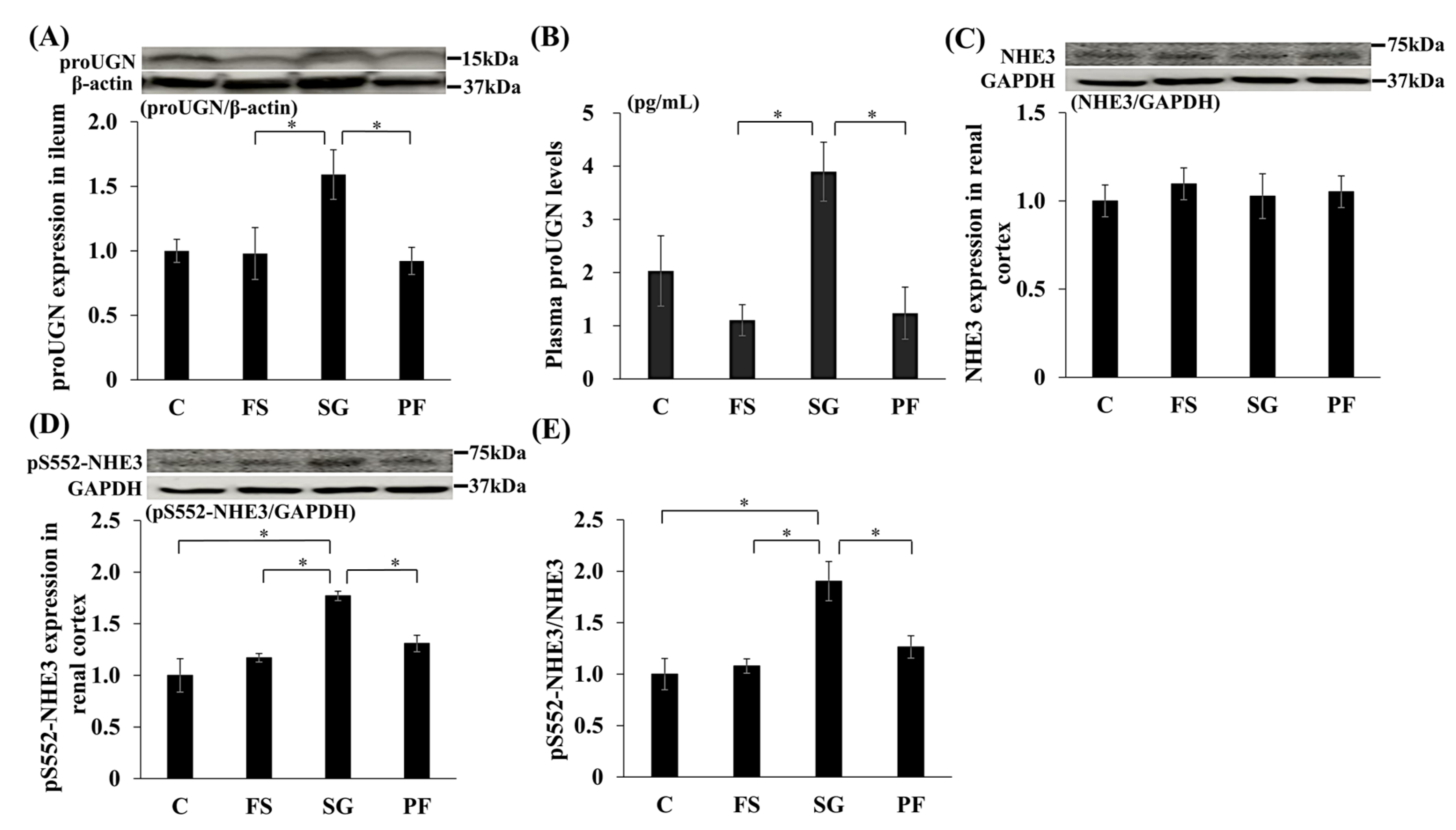 Nutrients 17 03581 g005