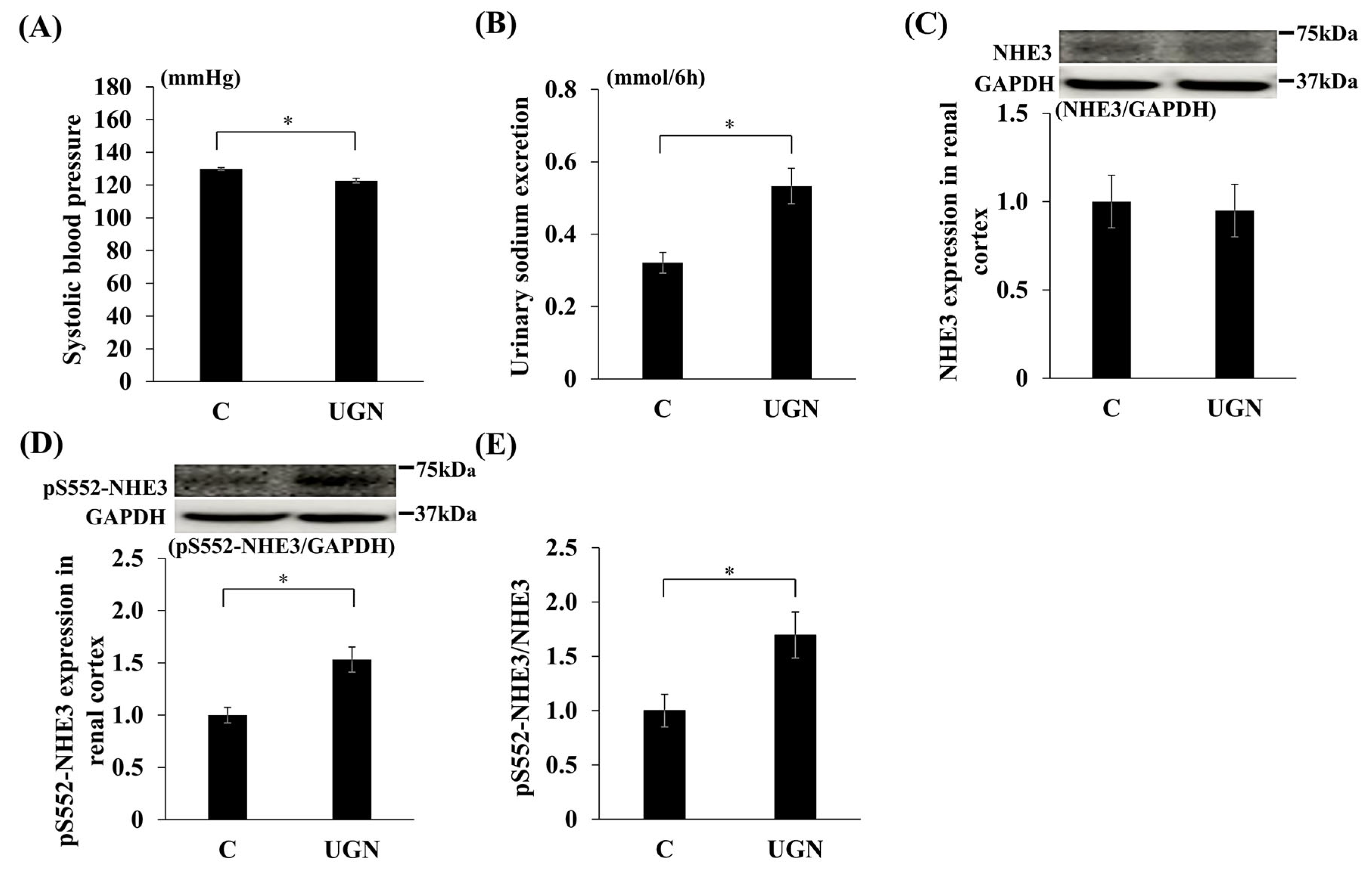 Nutrients 17 03581 g007