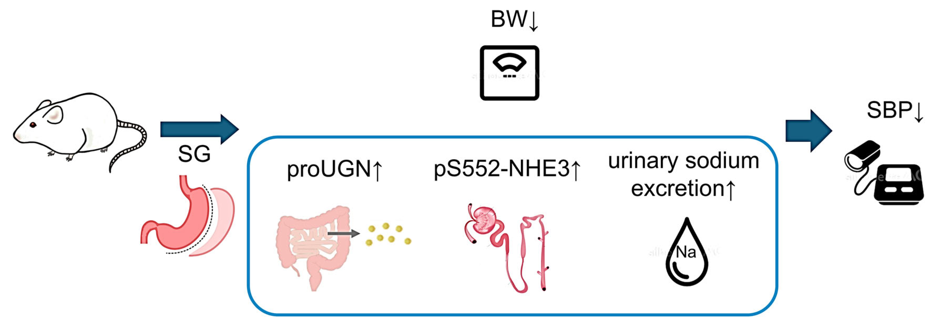 Nutrients 17 03581 g009