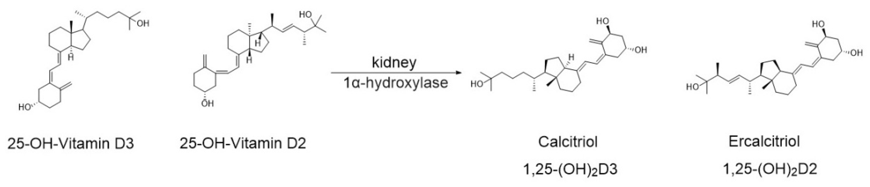 Nutrients 17 03584 g005 Nutrients 17 03584 g005