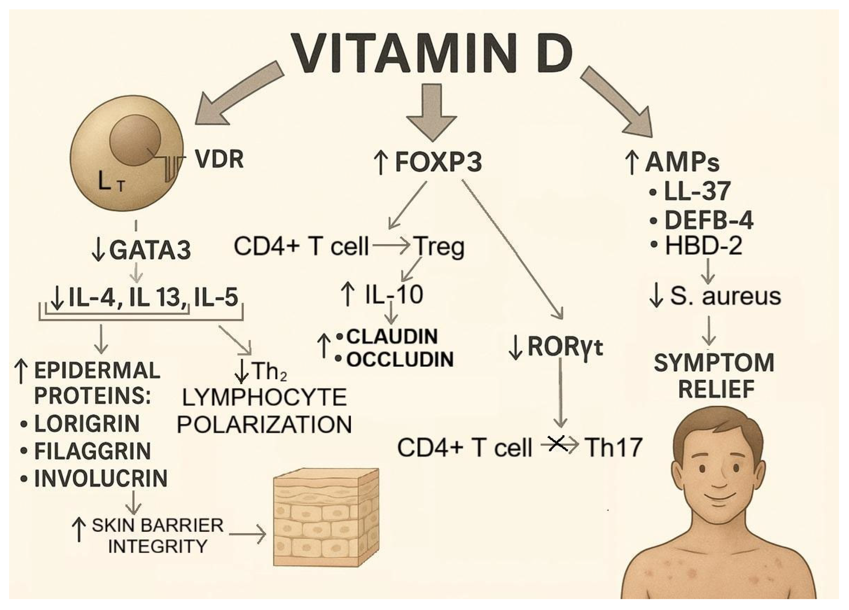 Nutrients 17 03584 g007 Nutrients 17 03584 g007