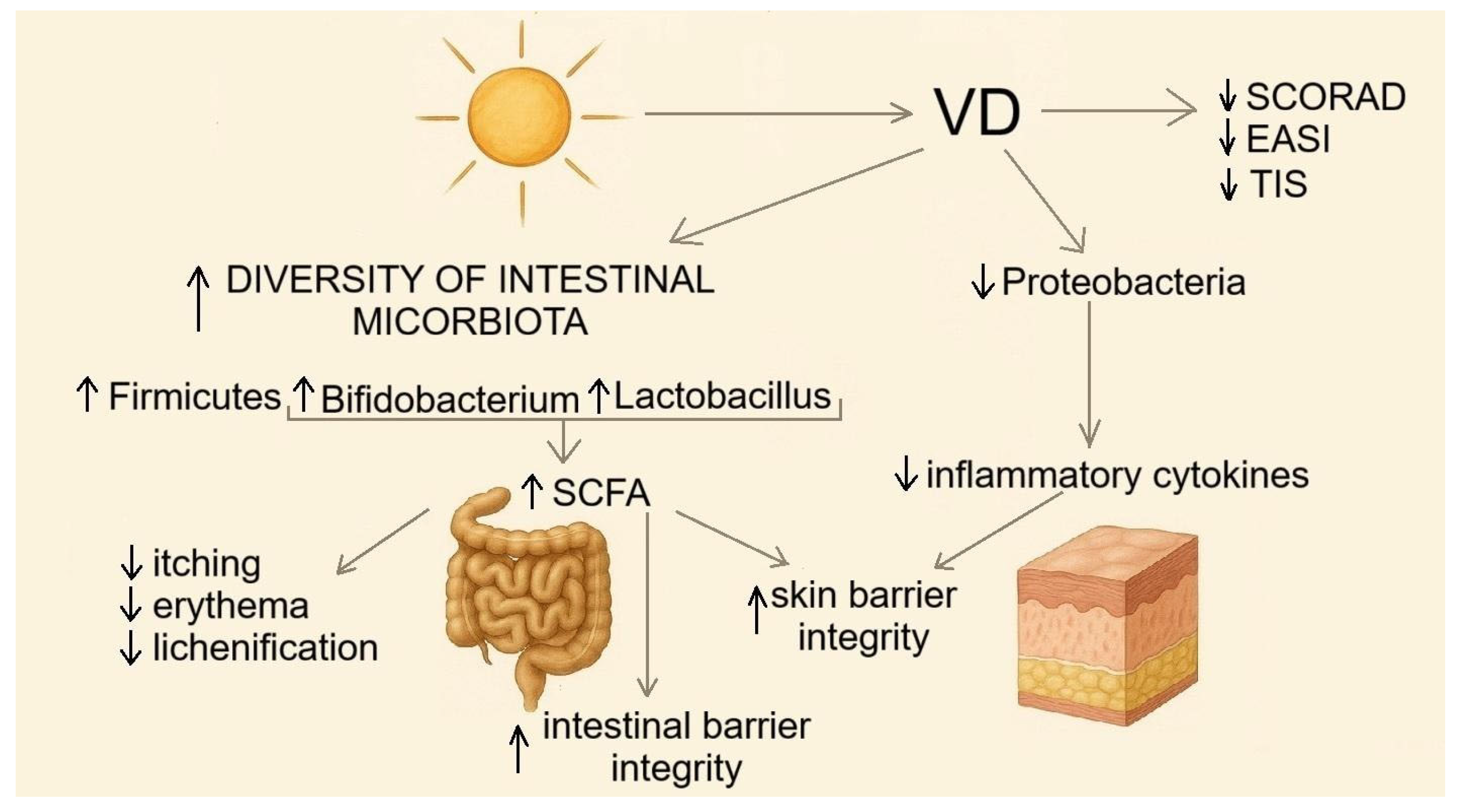 Nutrients 17 03584 g008 Nutrients 17 03584 g008