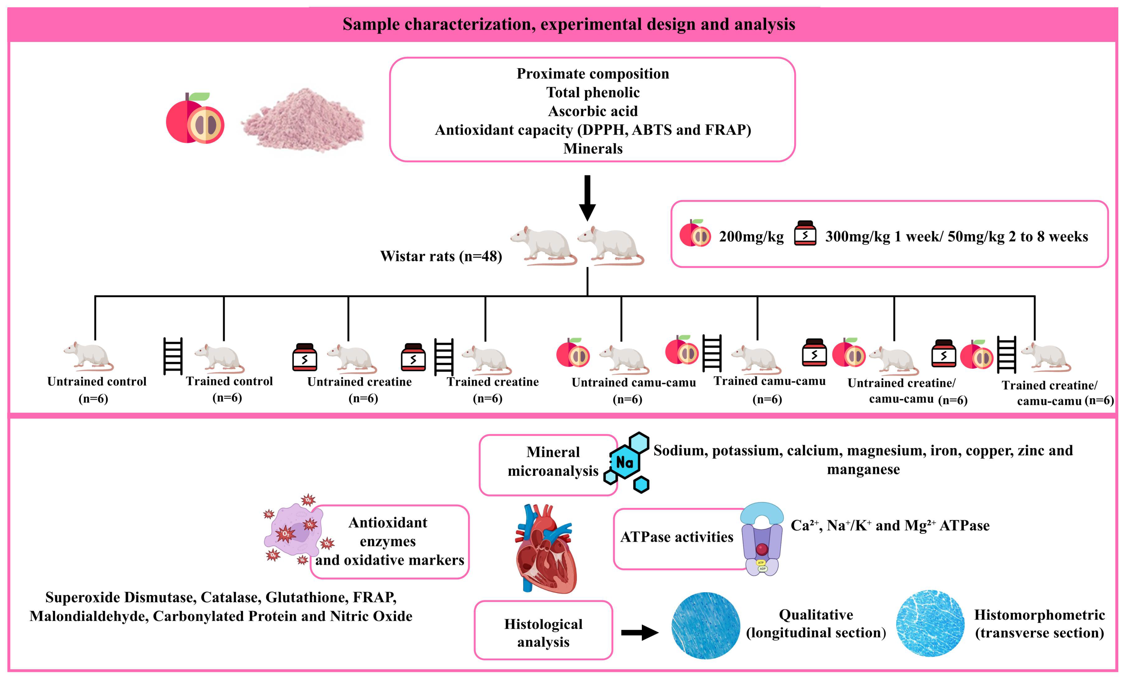 Nutrients 17 03587 g001