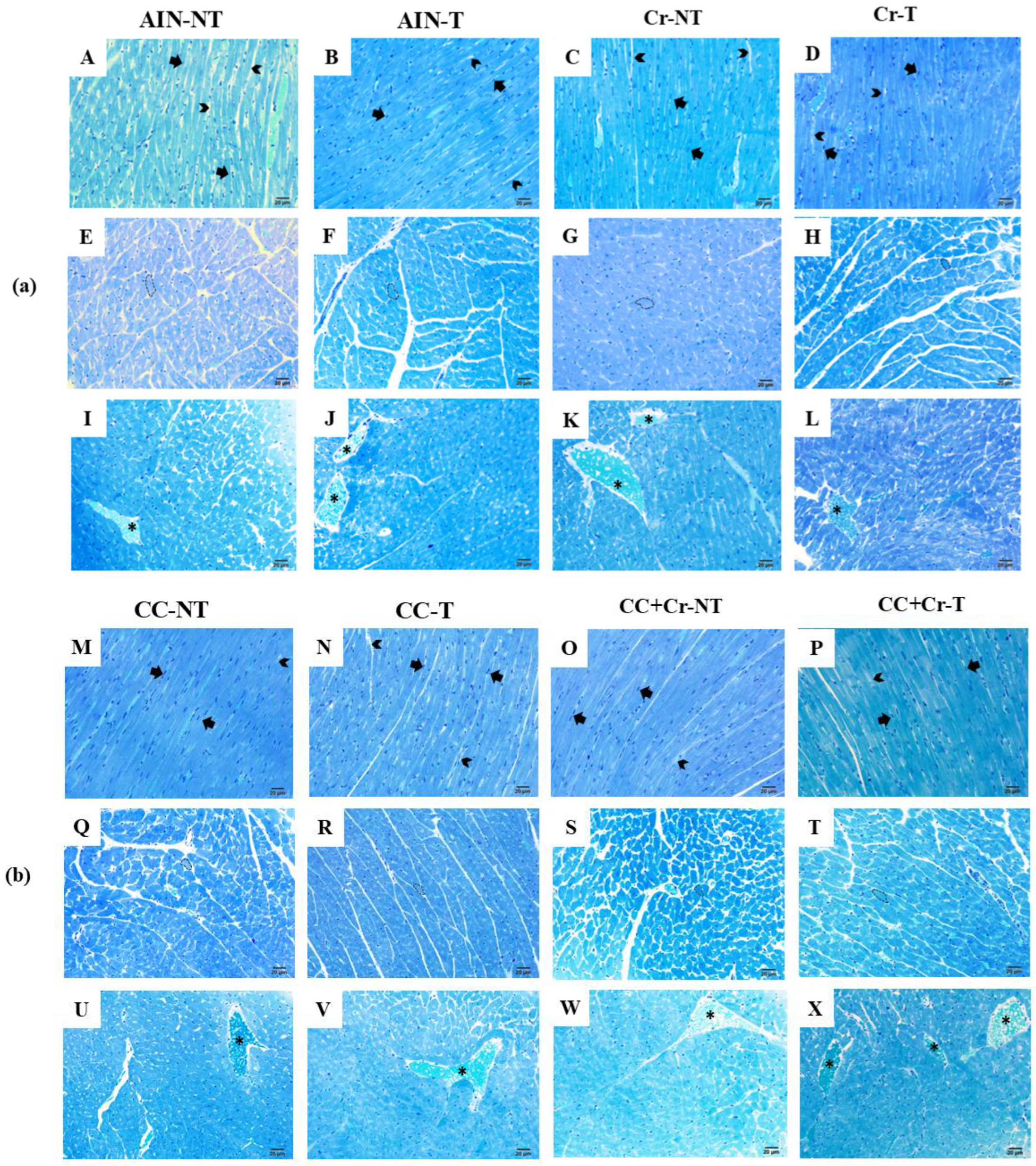 Nutrients 17 03587 g005
