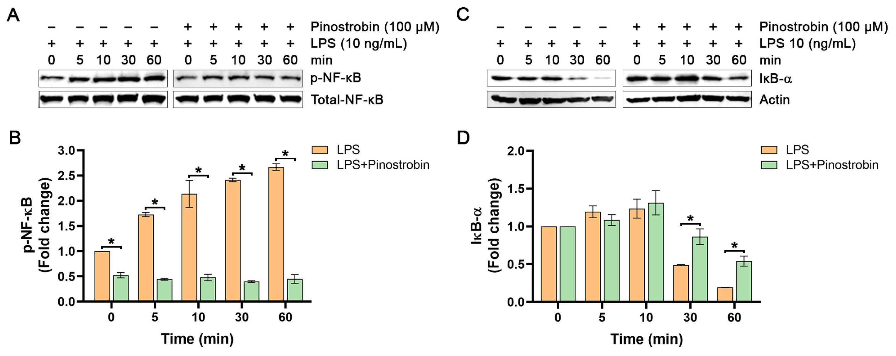 Nutrients 17 03589 g003 Nutrients 17 03589 g003