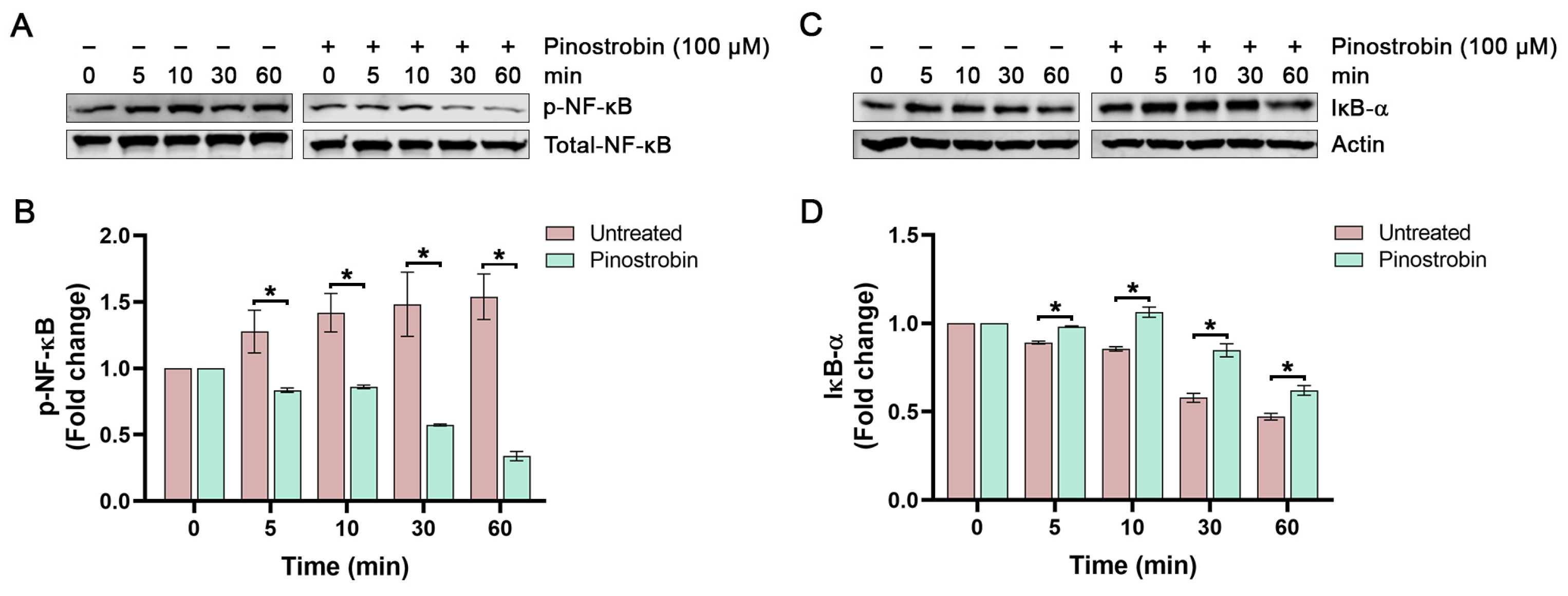 Nutrients 17 03589 g004 Nutrients 17 03589 g004