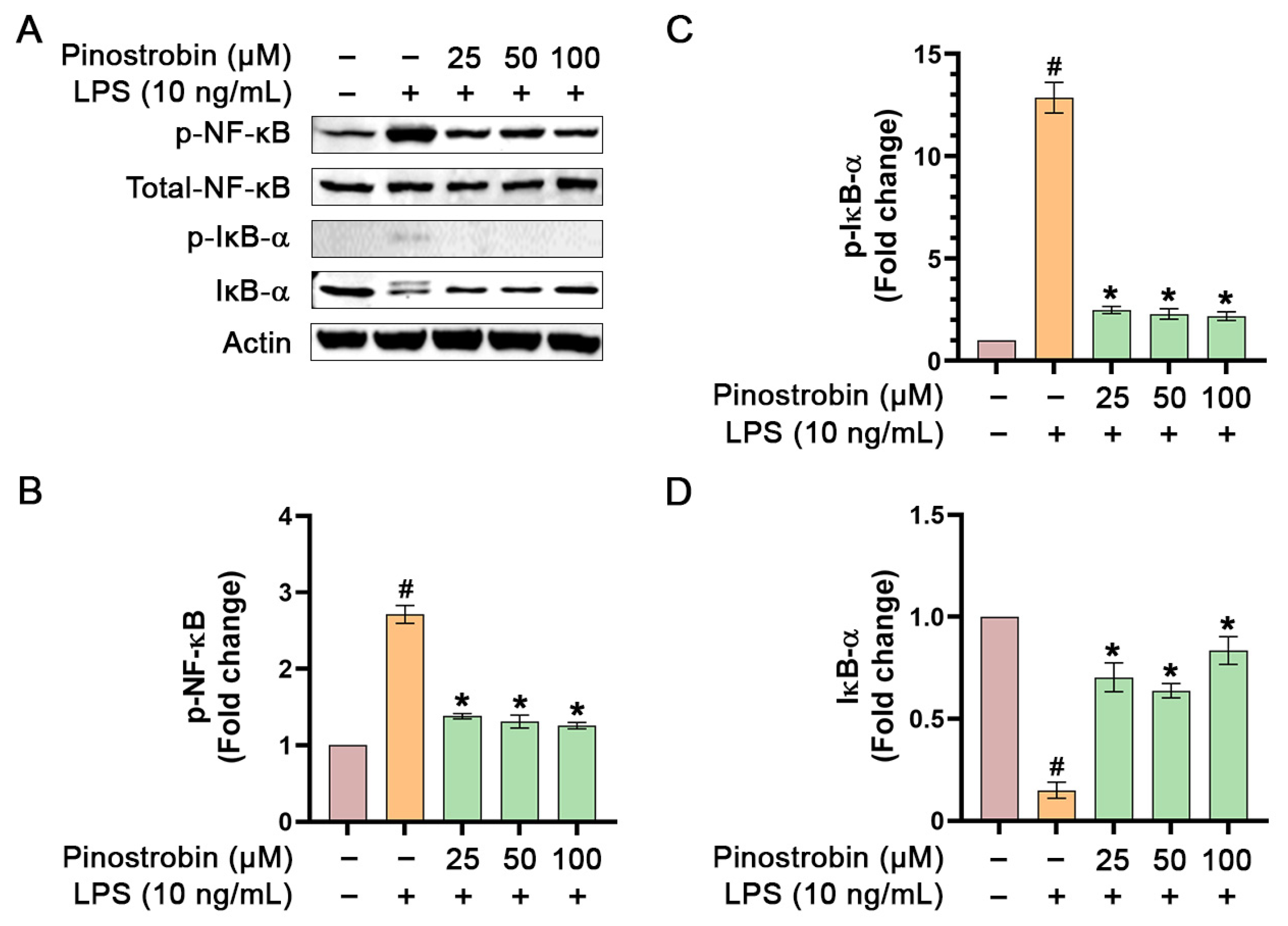 Nutrients 17 03589 g005 Nutrients 17 03589 g005