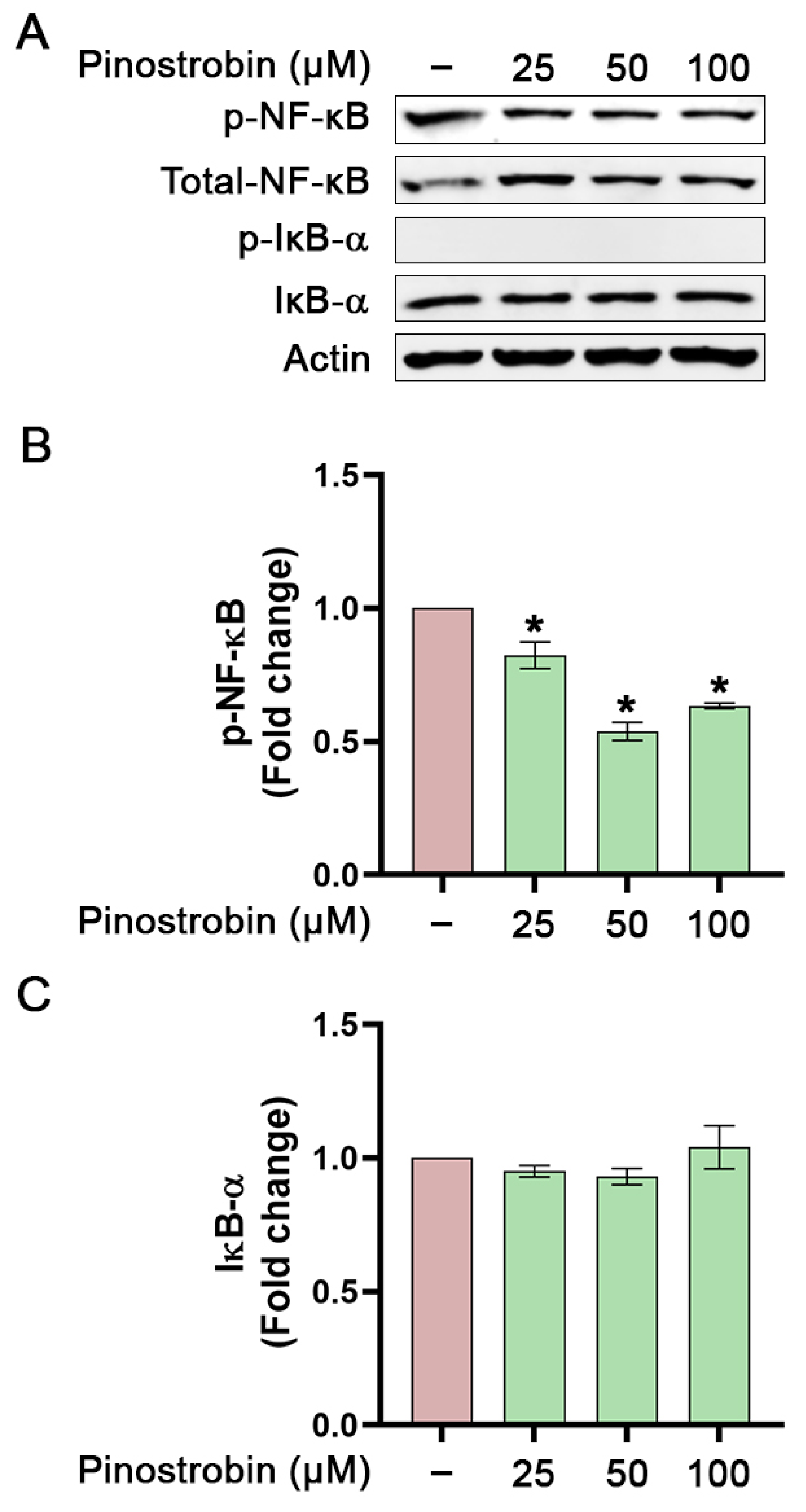 Nutrients 17 03589 g006 Nutrients 17 03589 g006