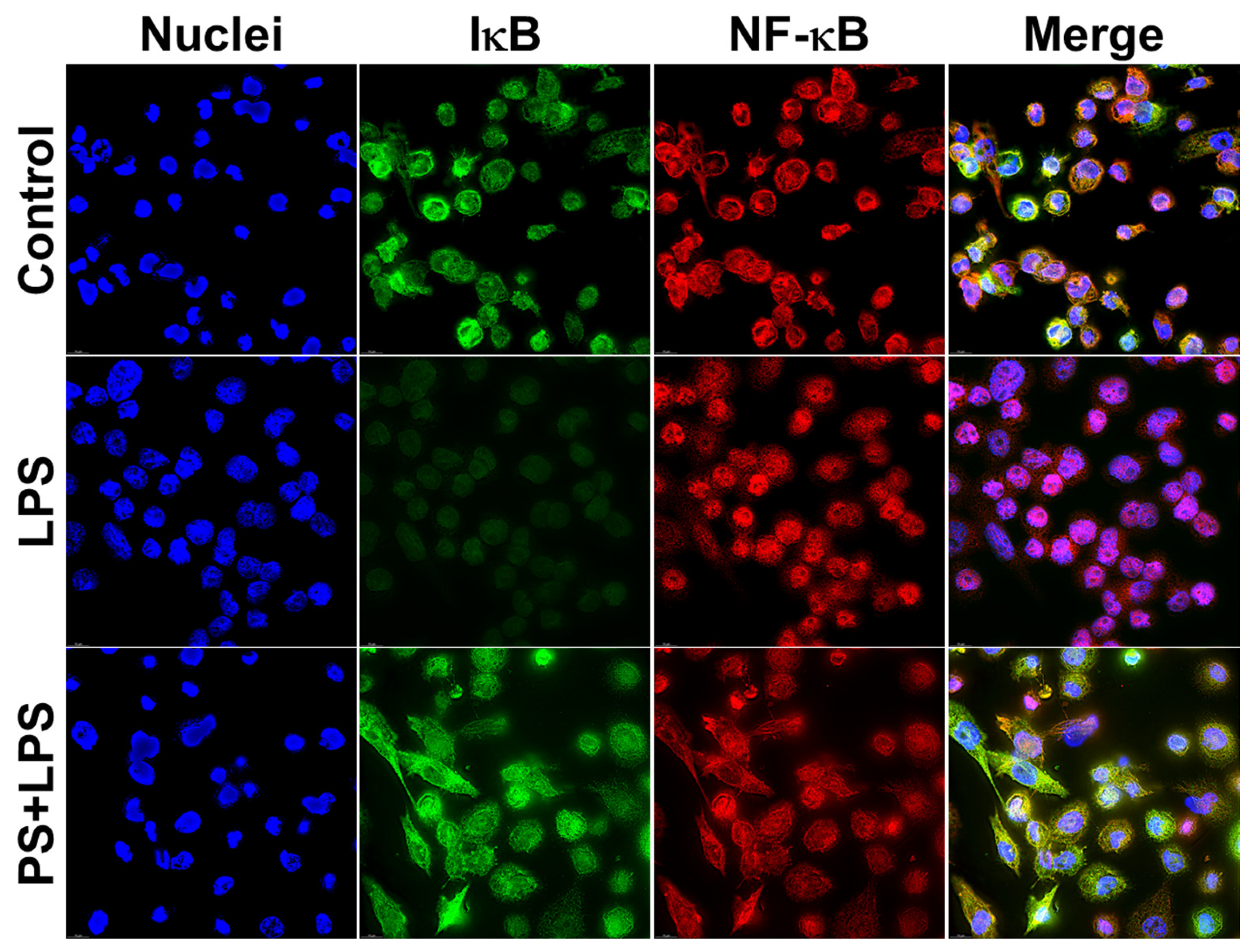 Nutrients 17 03589 g008 Nutrients 17 03589 g008