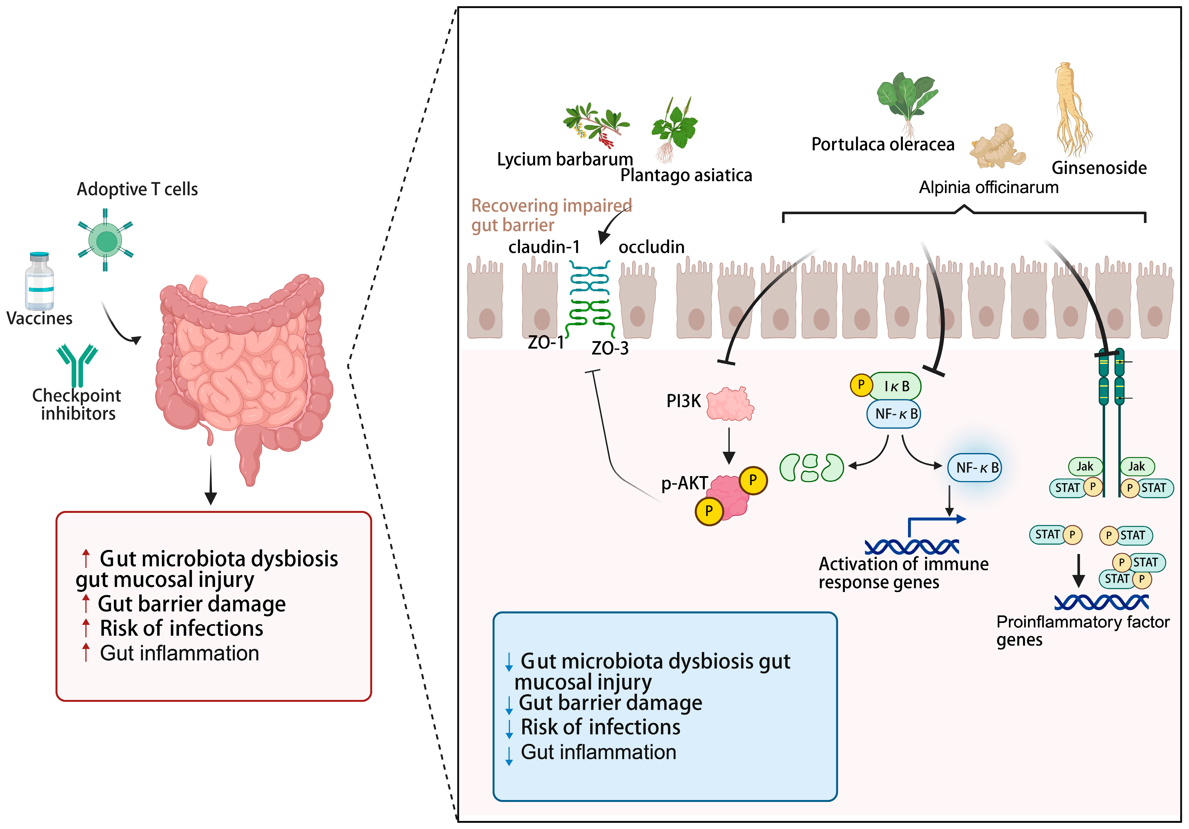Nutrients 17 03591 g003 Nutrients 17 03591 g003