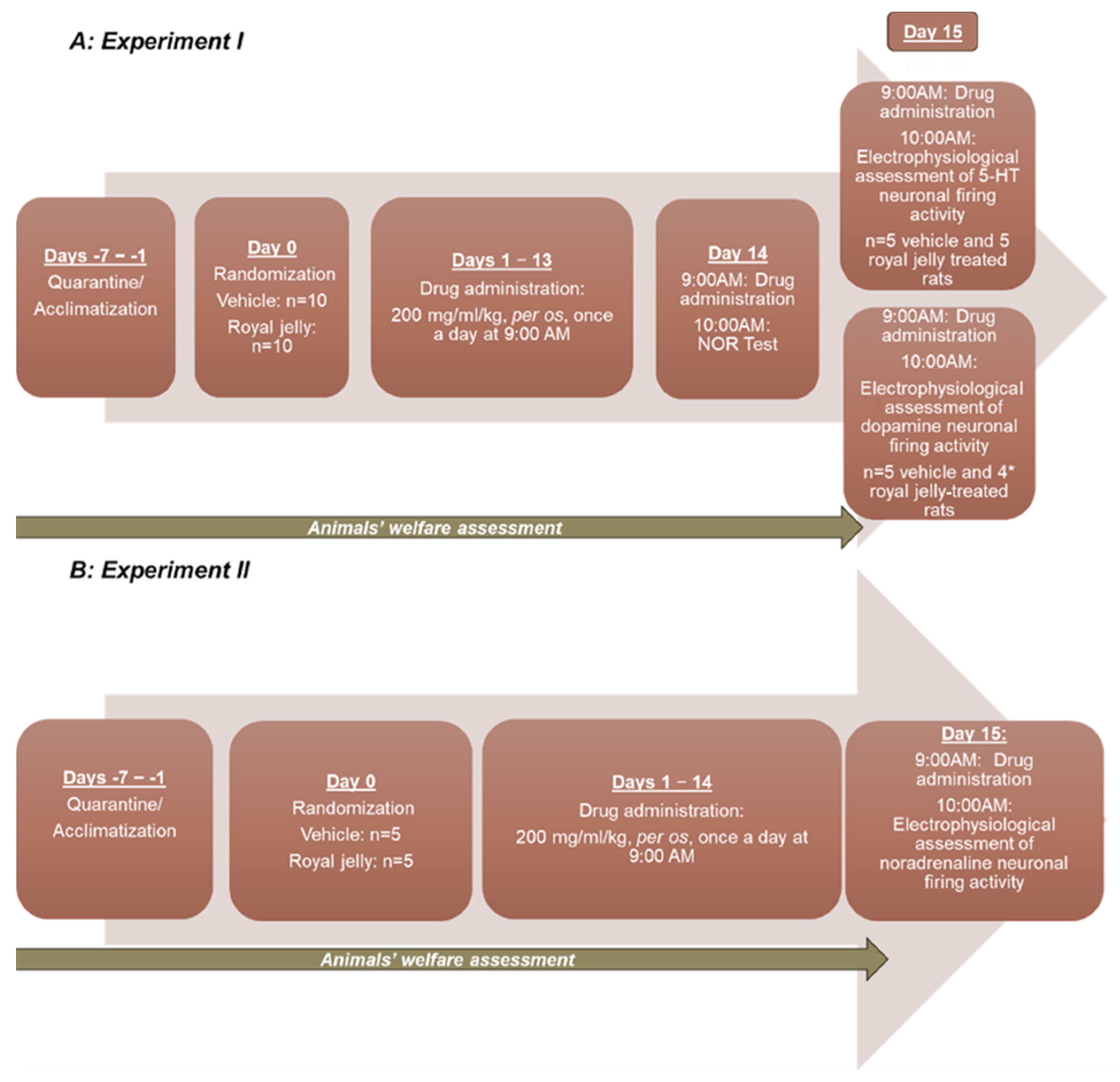 Nutrients 17 03593 g001 Nutrients 17 03593 g001