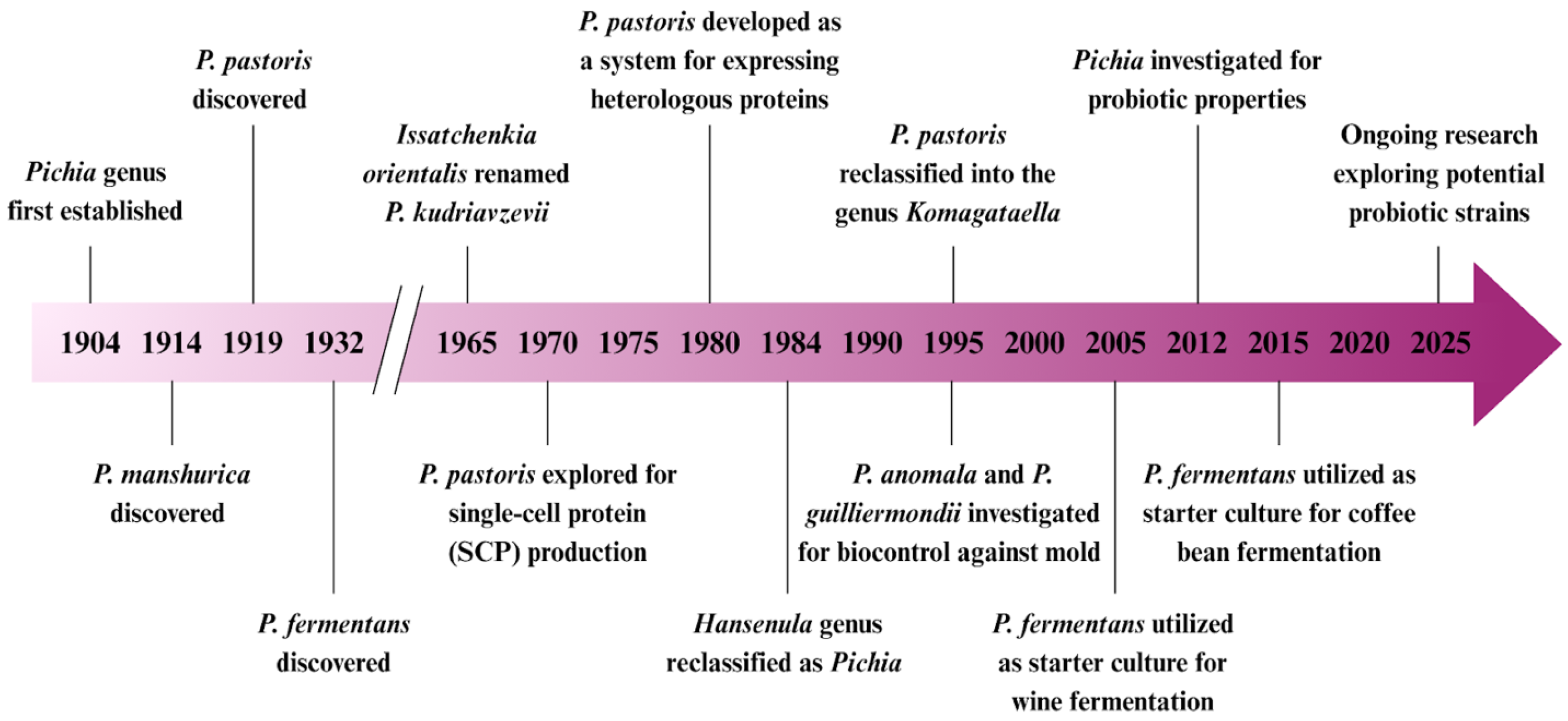 Nutrients 17 03594 g001 Nutrients 17 03594 g001