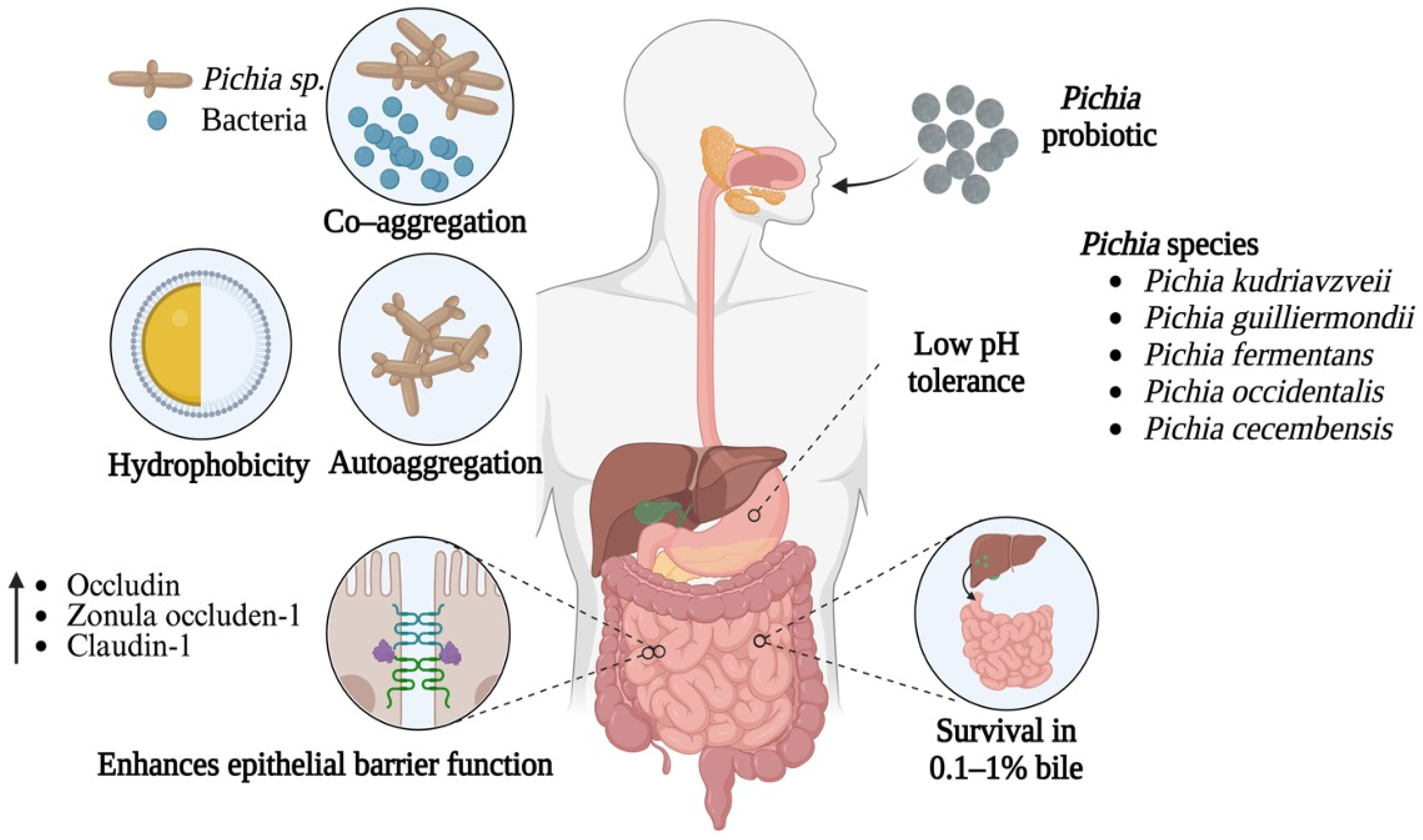 Nutrients 17 03594 g002 Nutrients 17 03594 g002