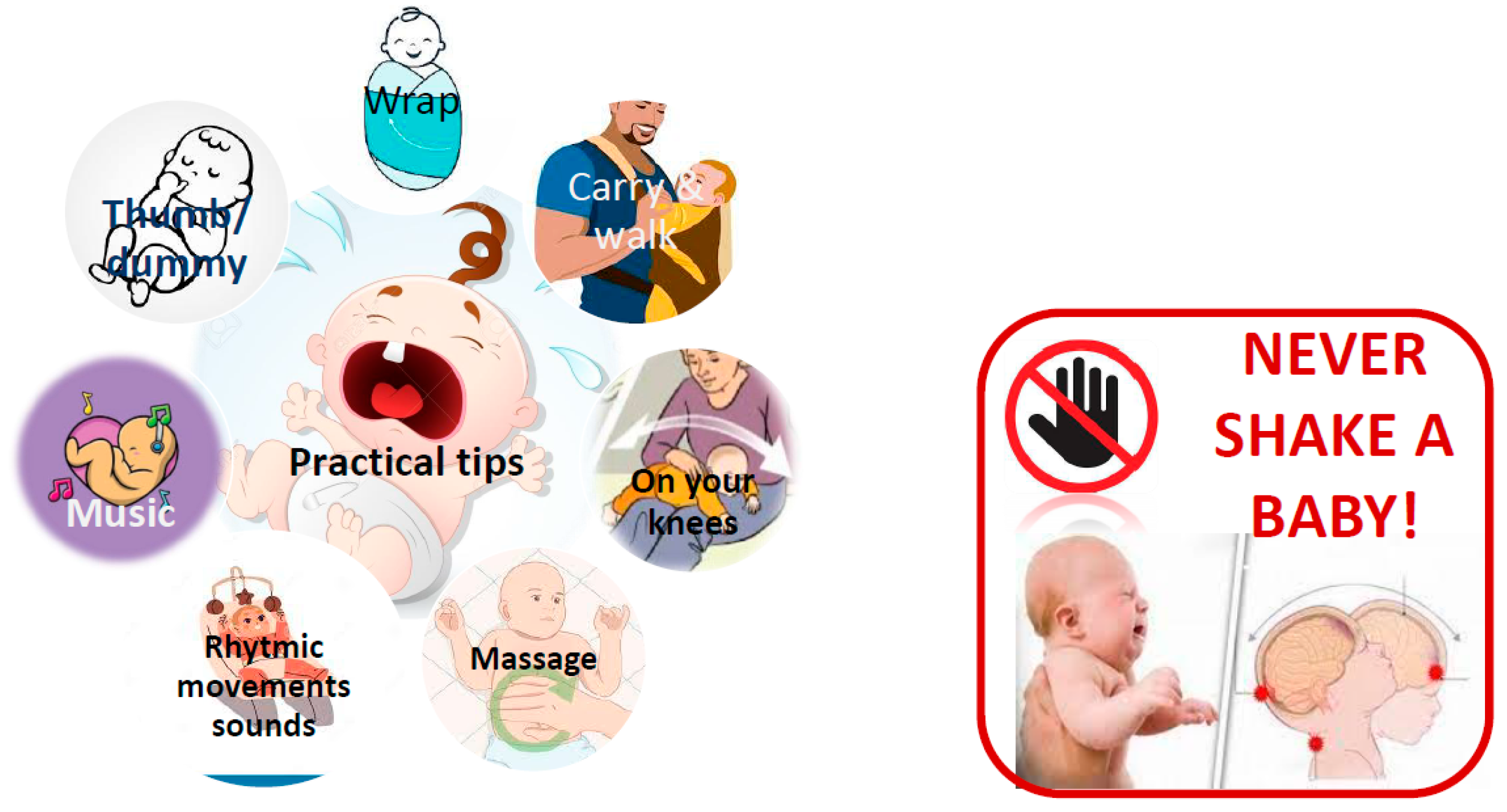 Nutrients 17 03600 g002