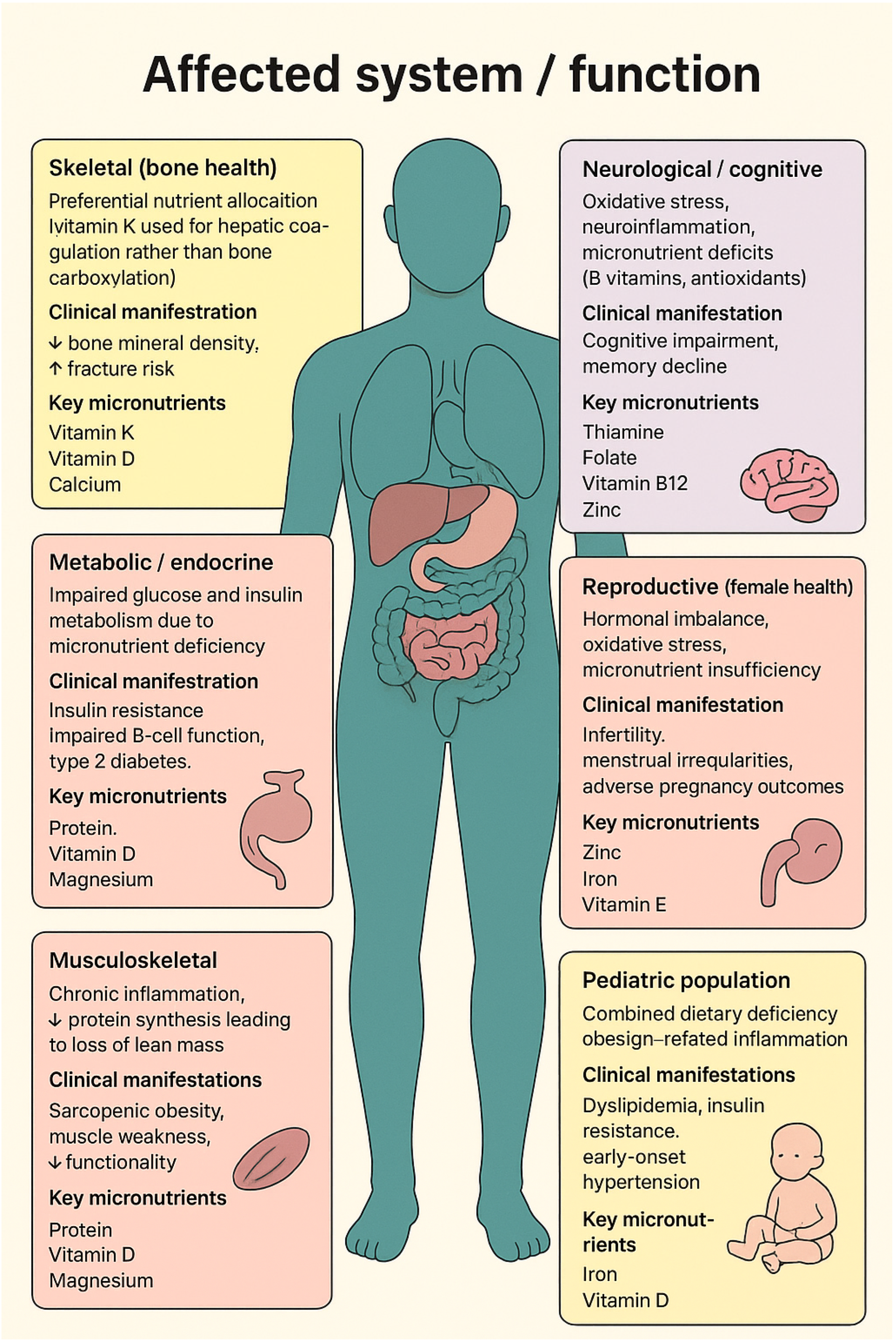 Nutrients 17 03601 g001