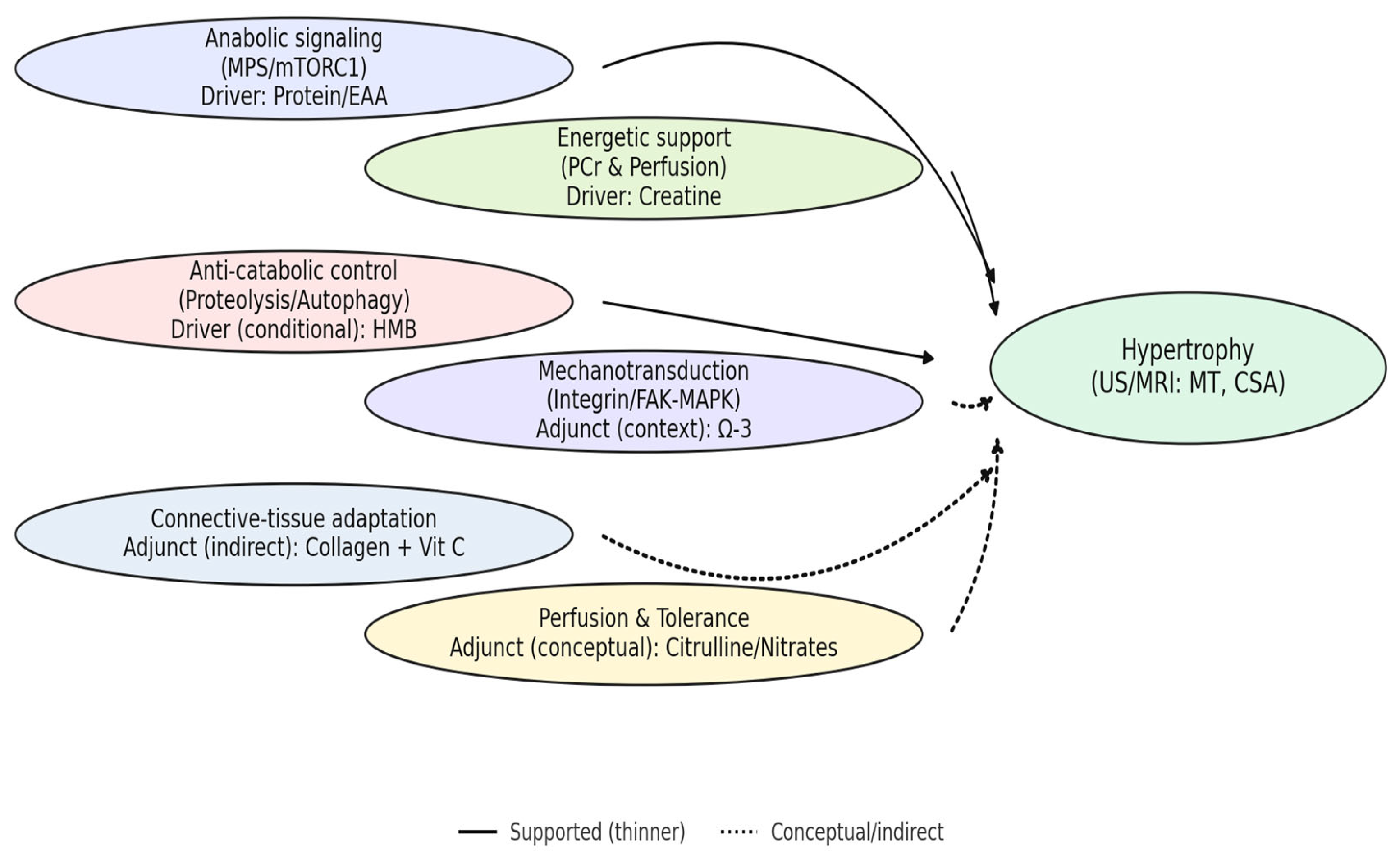 Nutrients 17 03603 g004