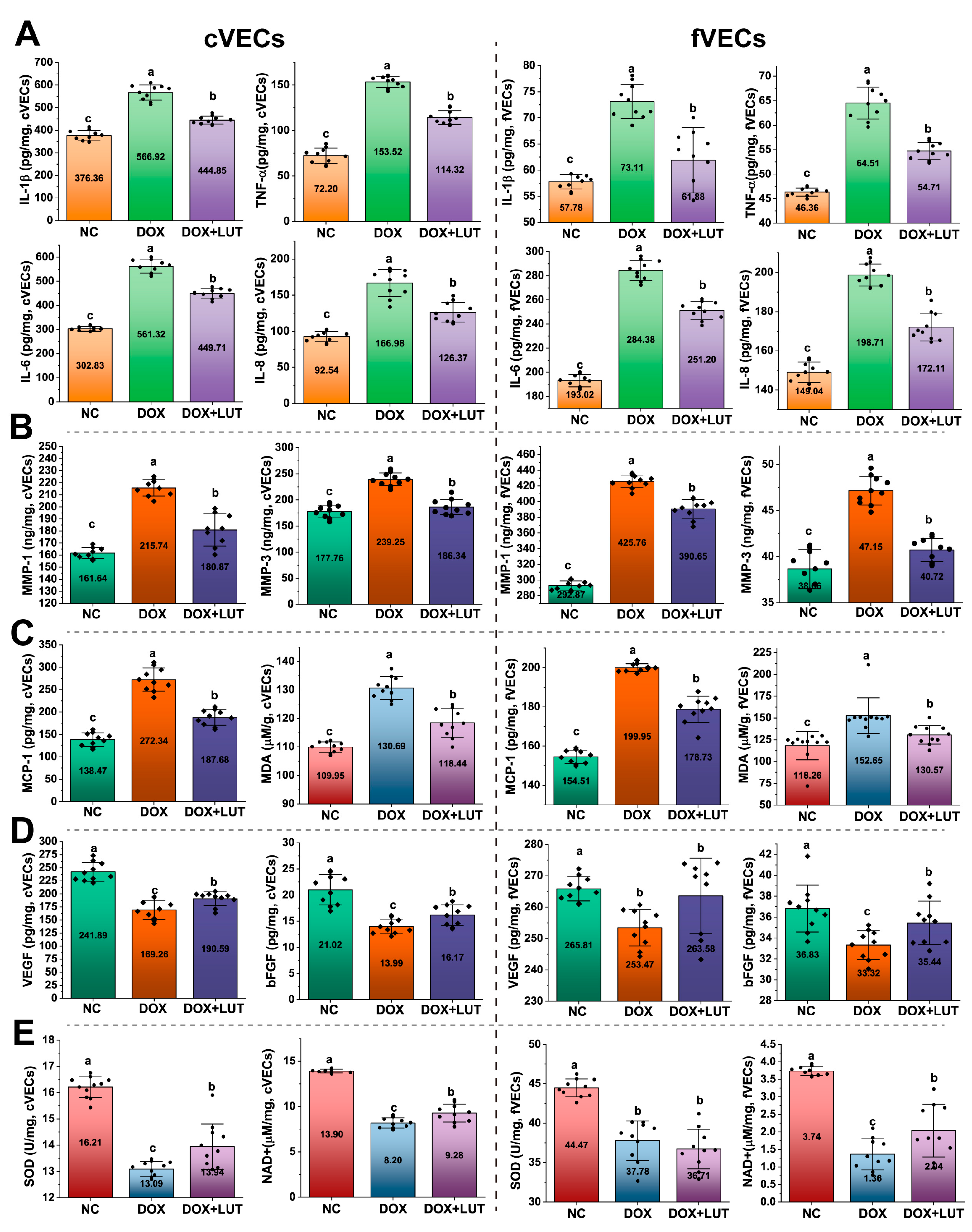 Nutrients 17 03607 g002