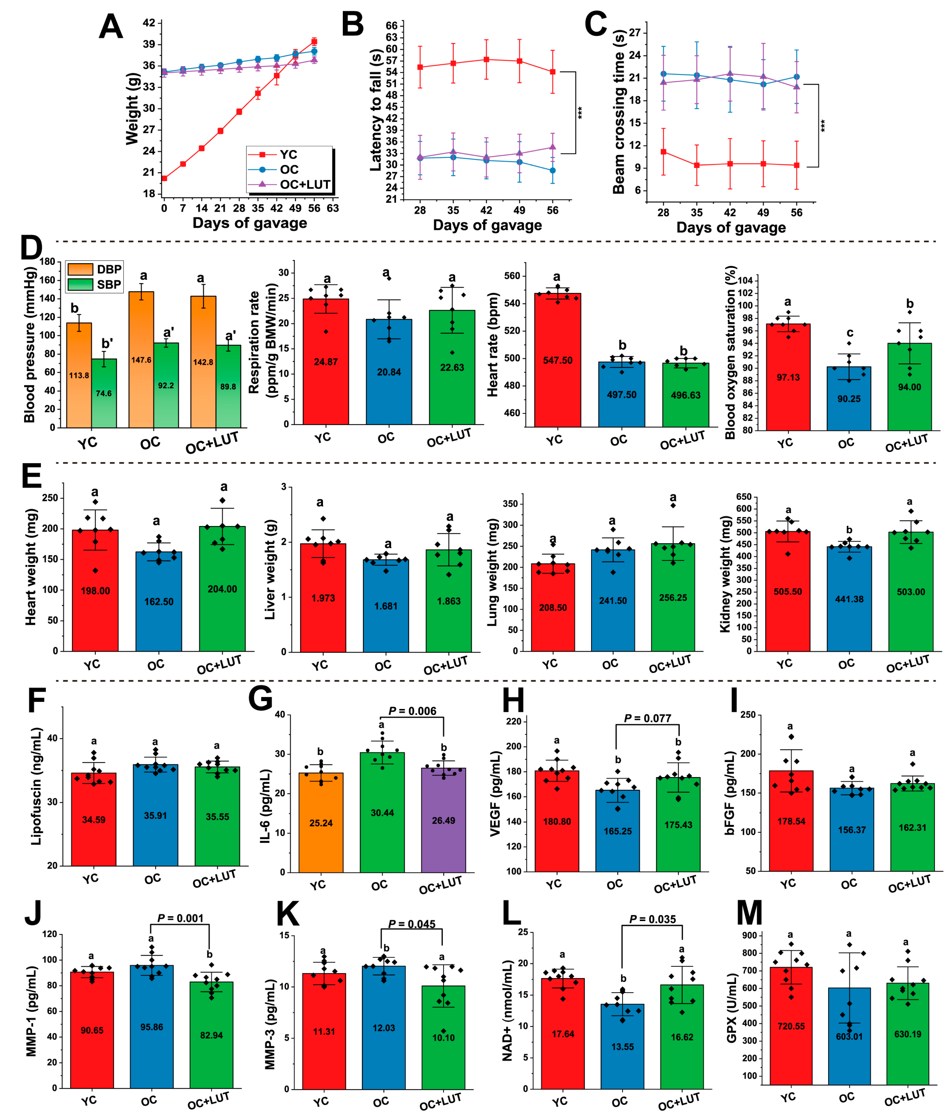 Nutrients 17 03607 g003