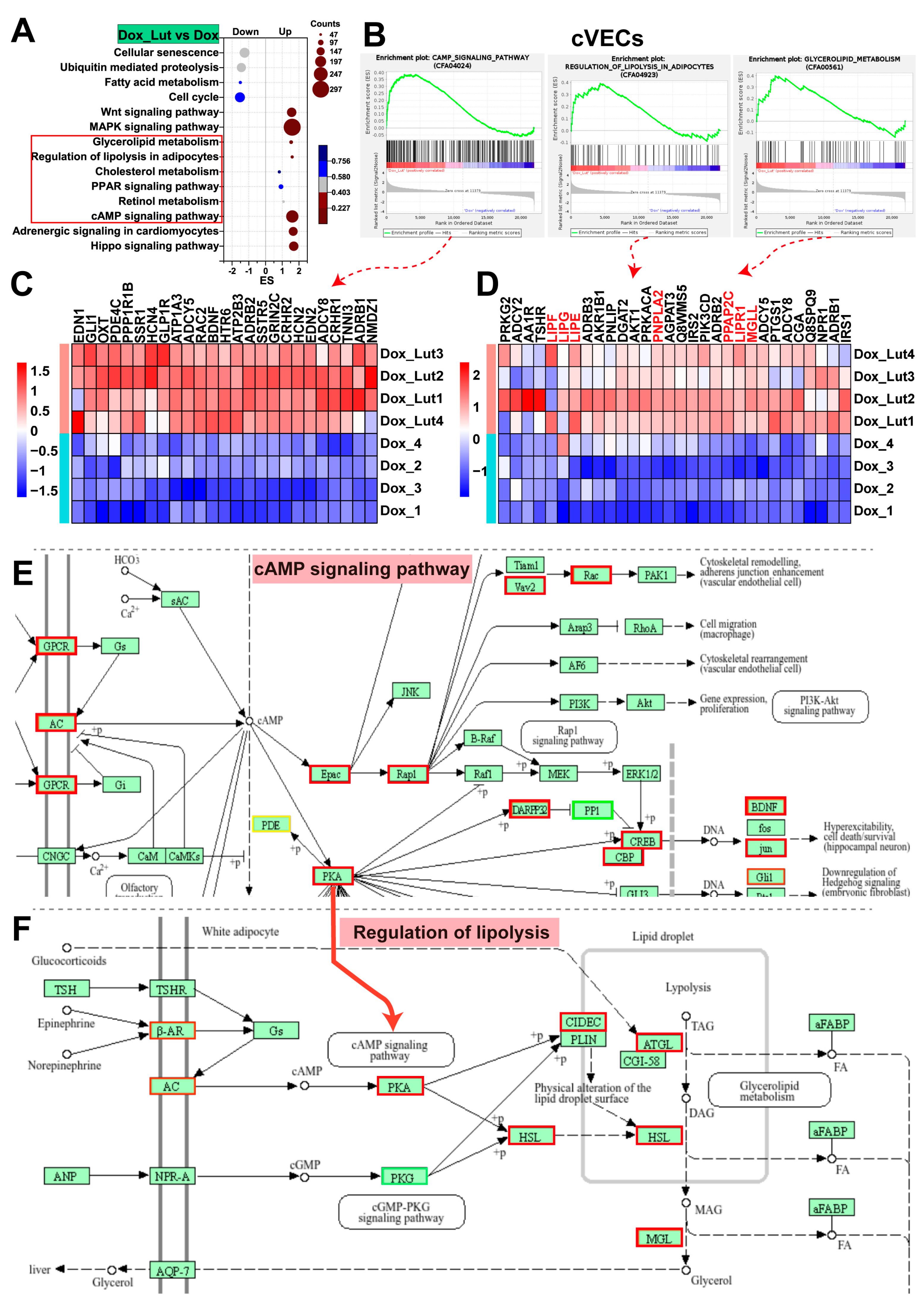 Nutrients 17 03607 g005