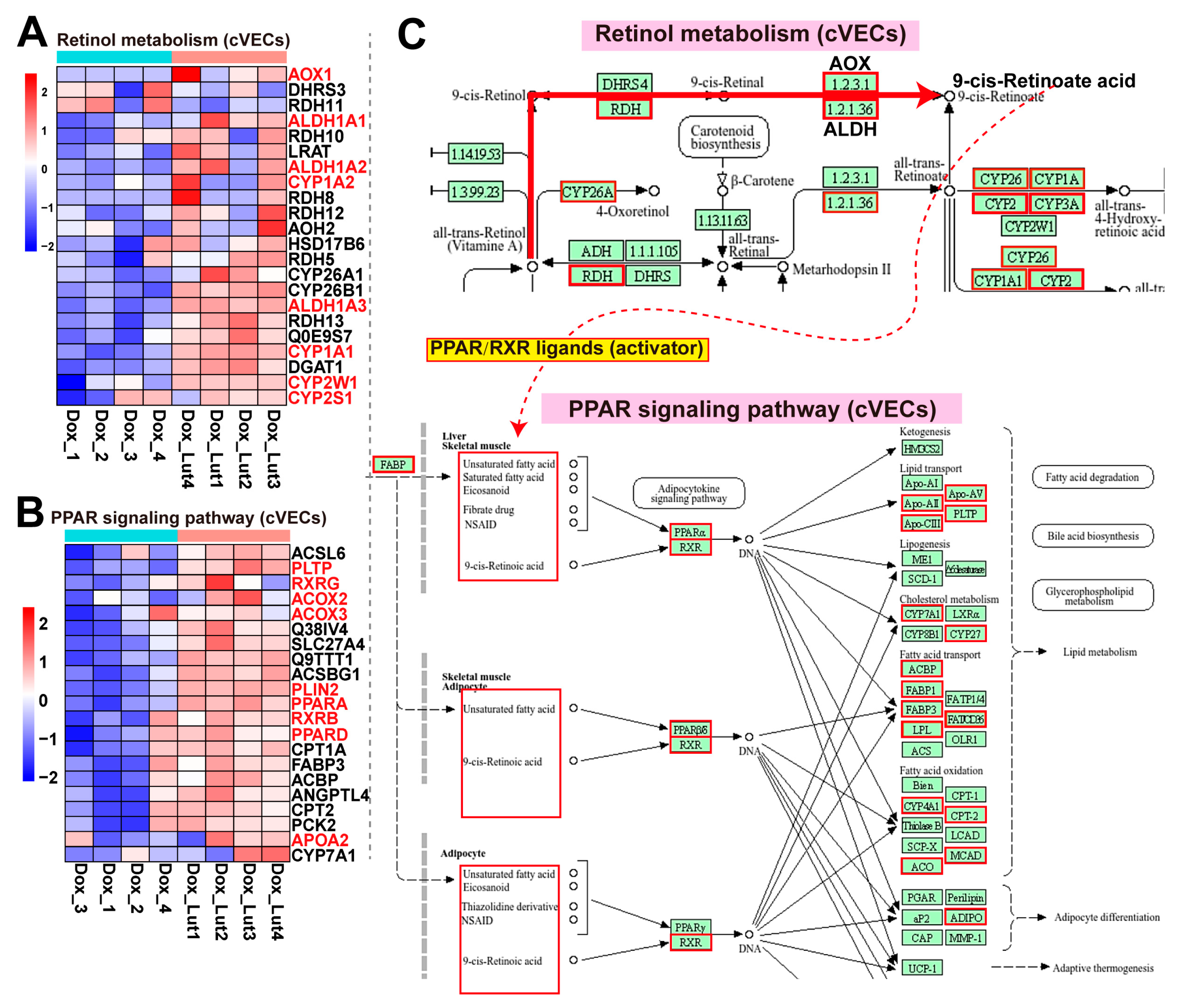Nutrients 17 03607 g006