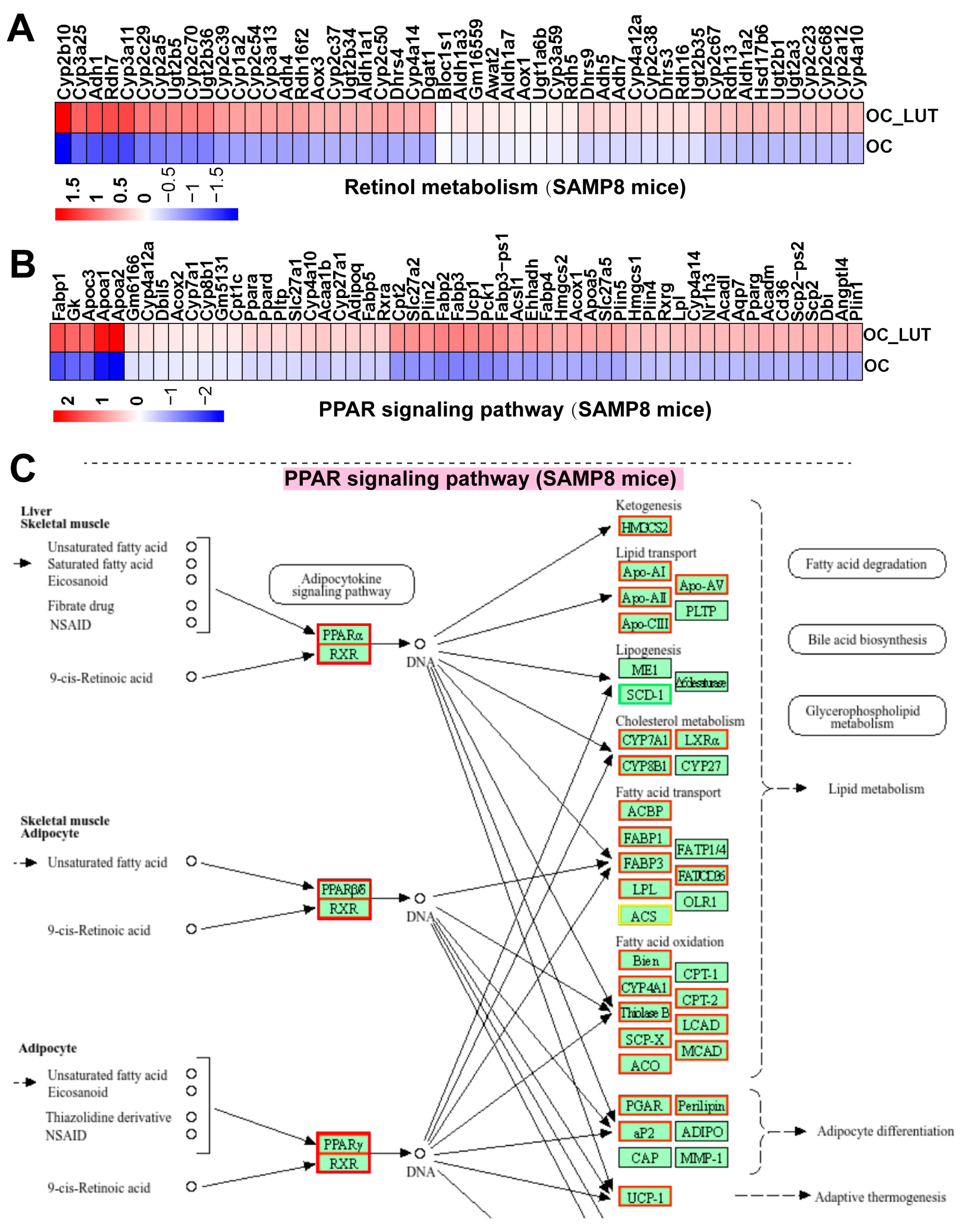 Nutrients 17 03607 g008
