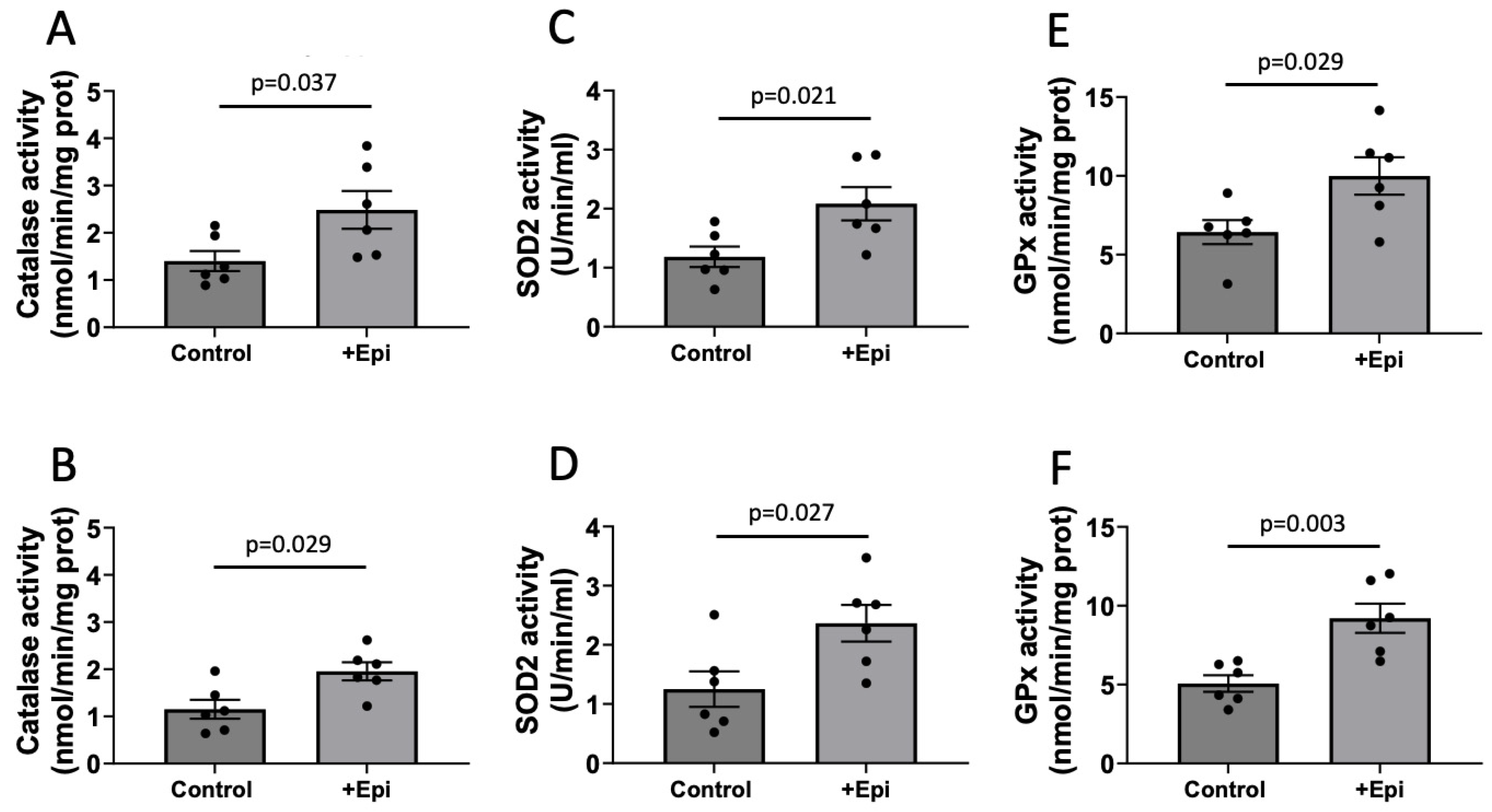 Nutrients 17 03611 g003
