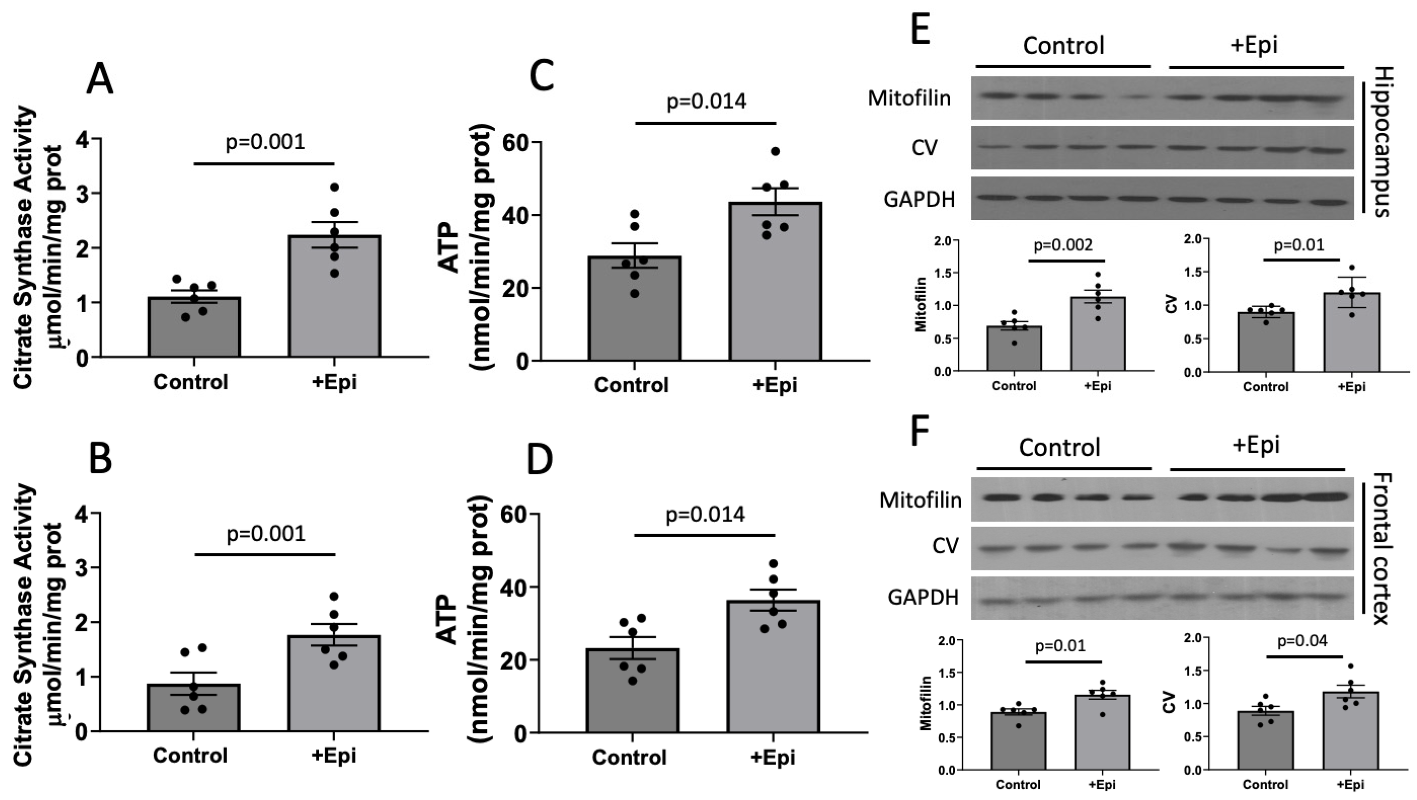 Nutrients 17 03611 g004