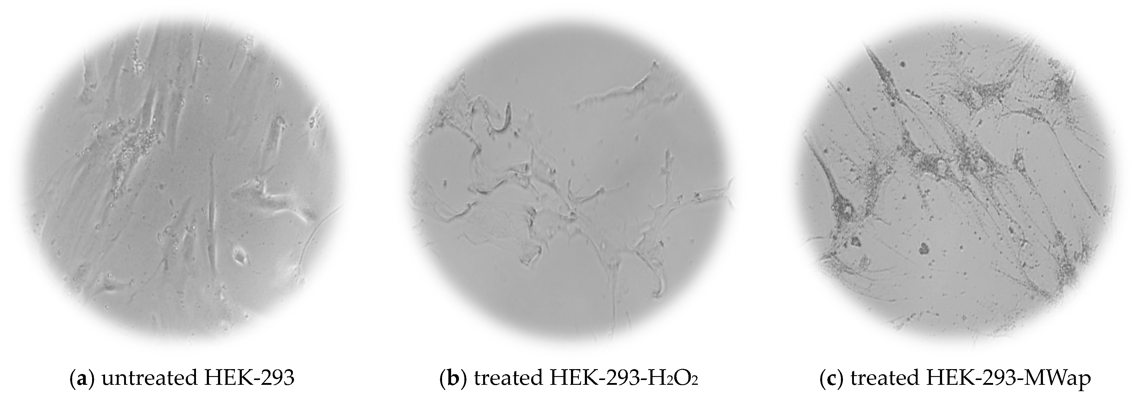 Nutrients 17 03616 g006a