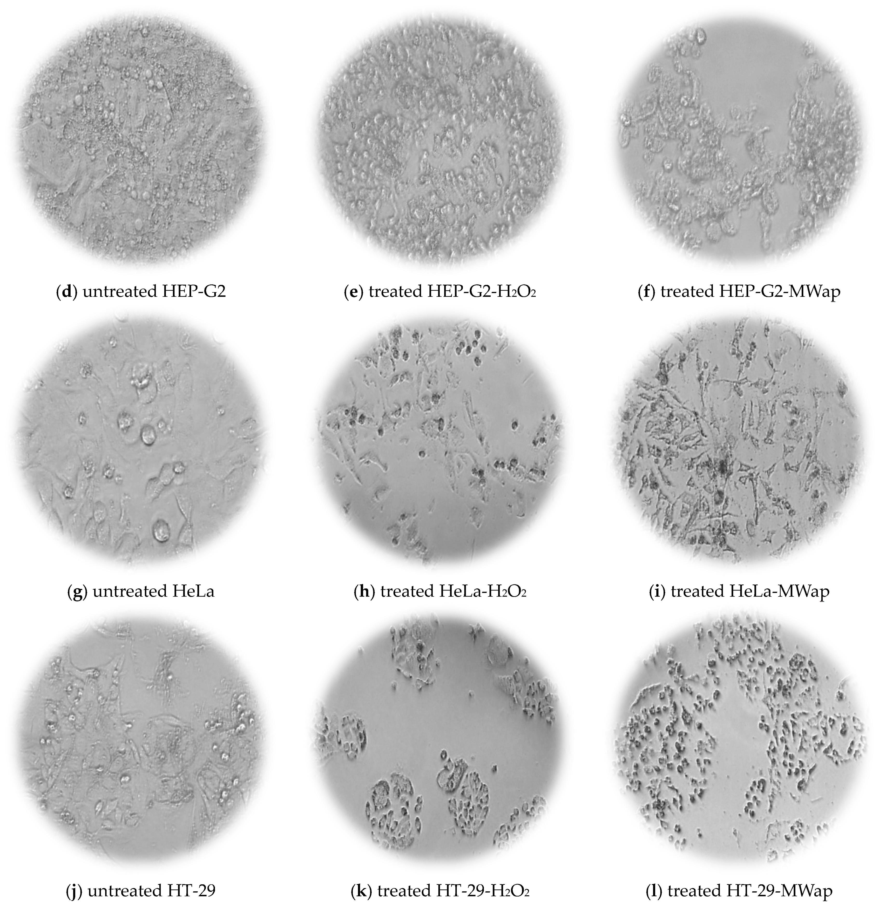 Nutrients 17 03616 g006b