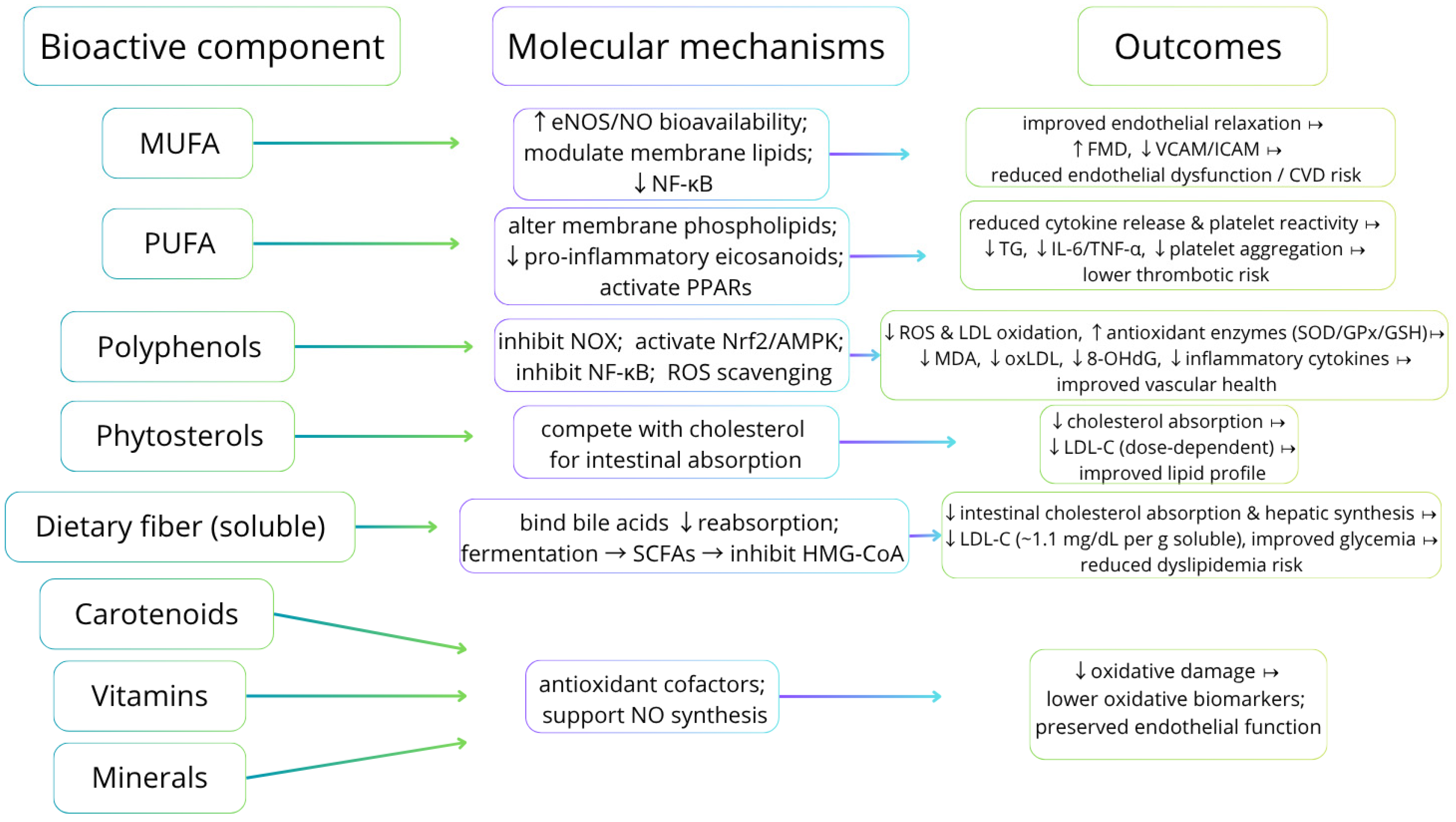 Nutrients 17 03617 g002