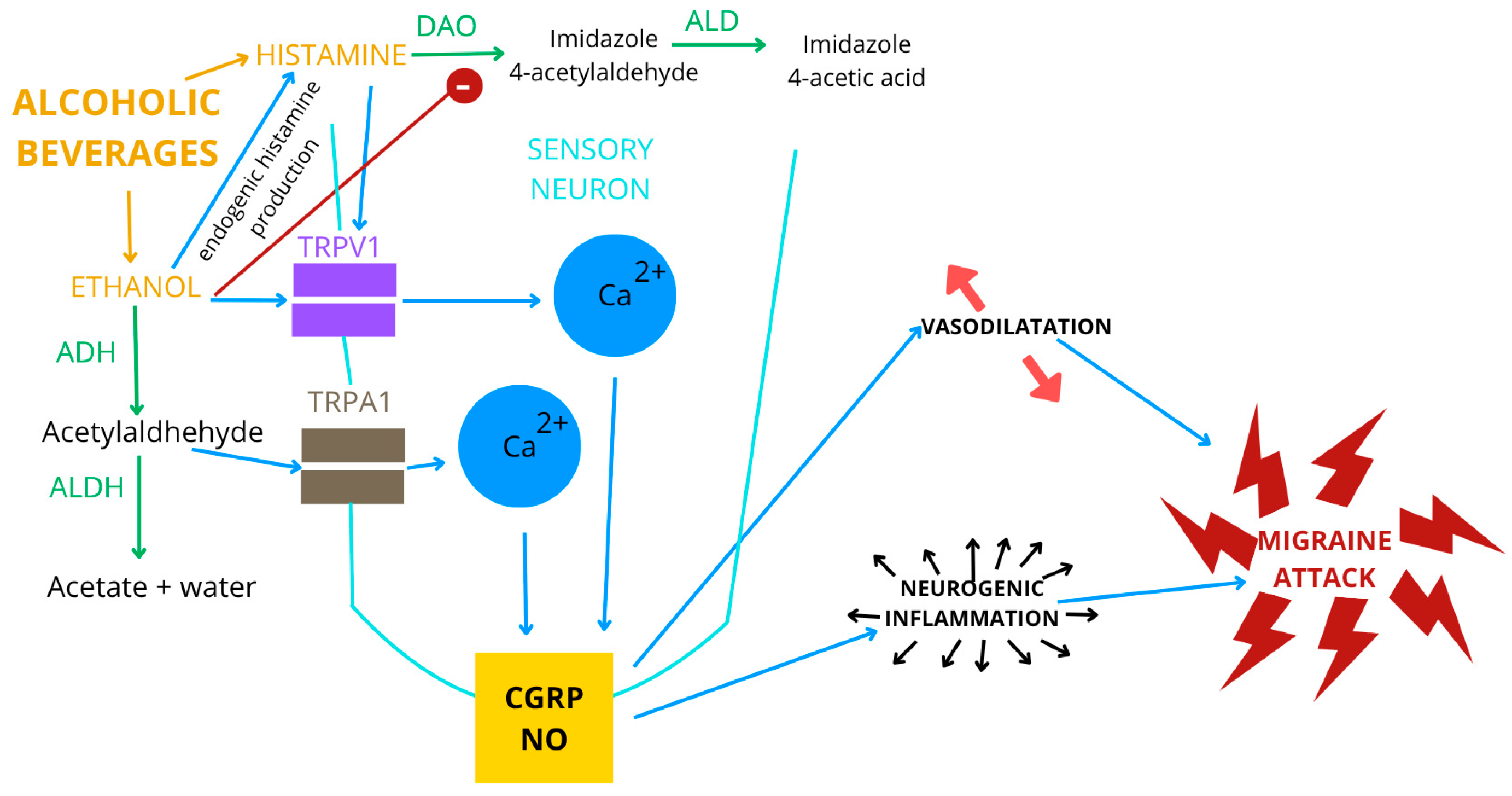 Nutrients 17 03620 g002